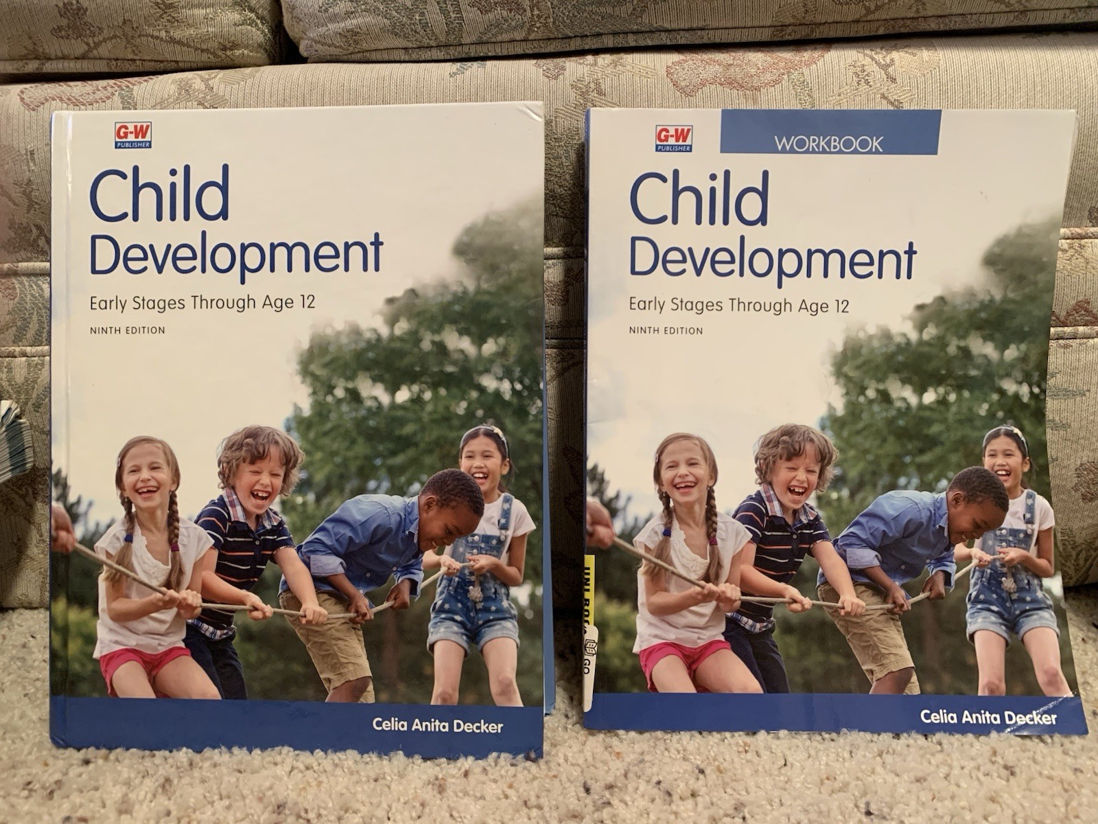 Child Development Early Stages Hardcover Text & Workbook By Celia Decker NEW