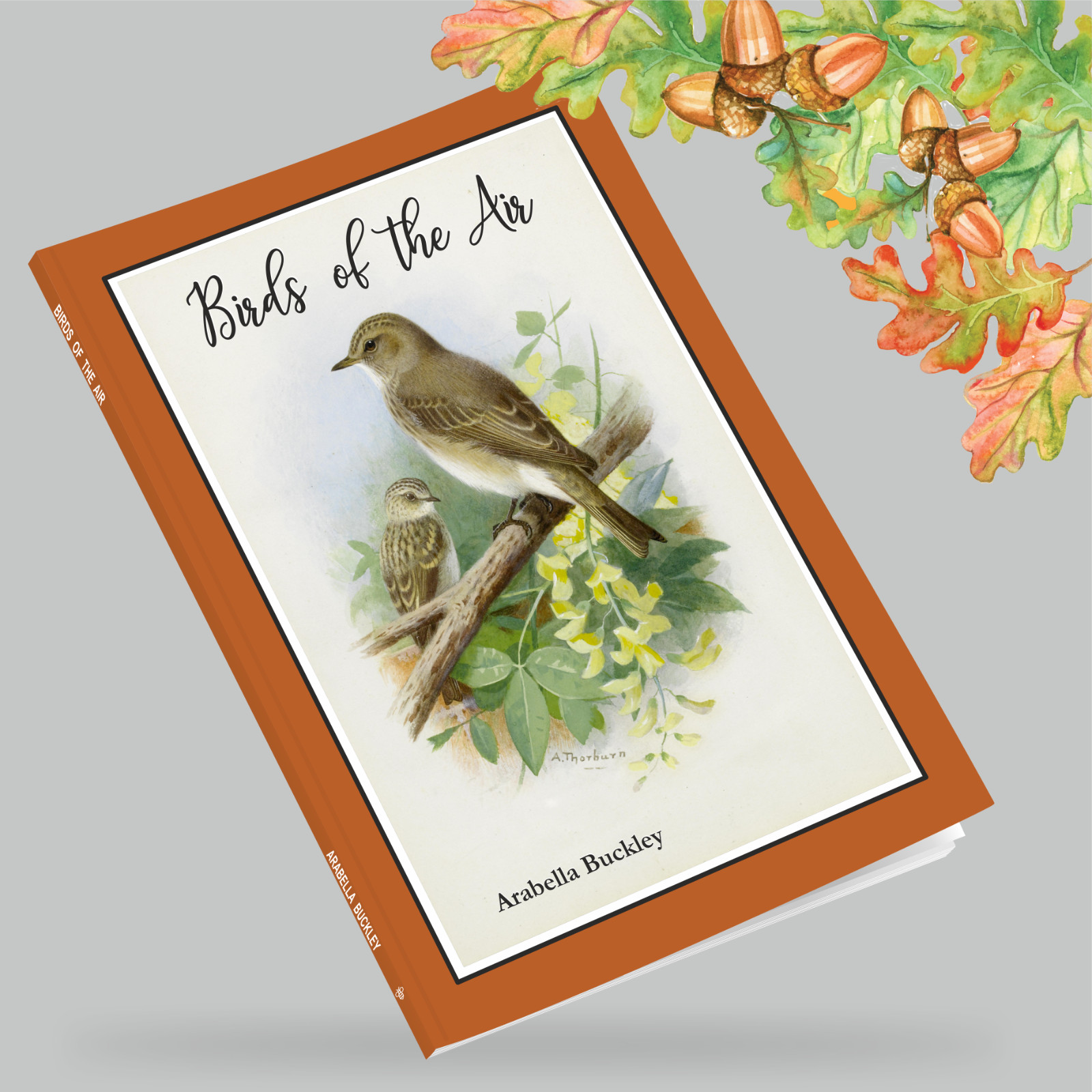Birds of the Air: Arabella Buckley – New Book – Charlotte Mason Beehive, home ed