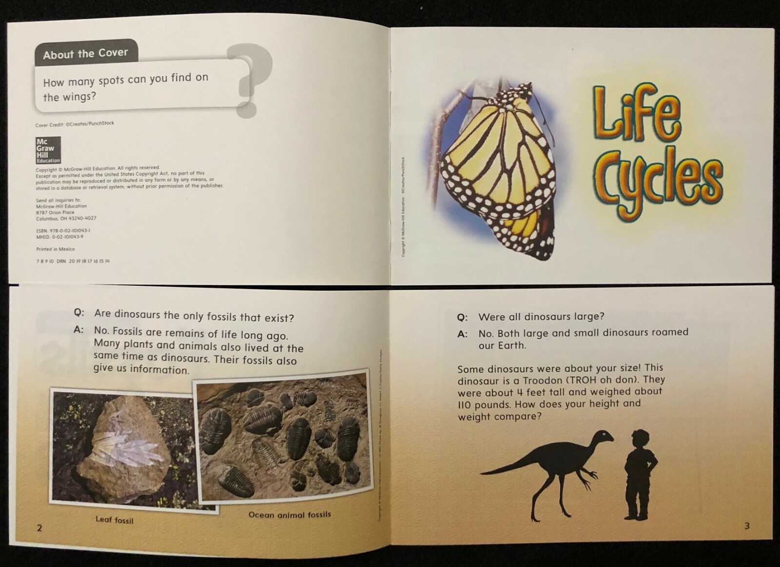 2nd Grade Math Readers – Real World (Math/Science & Math/Social Studies) ABOVE