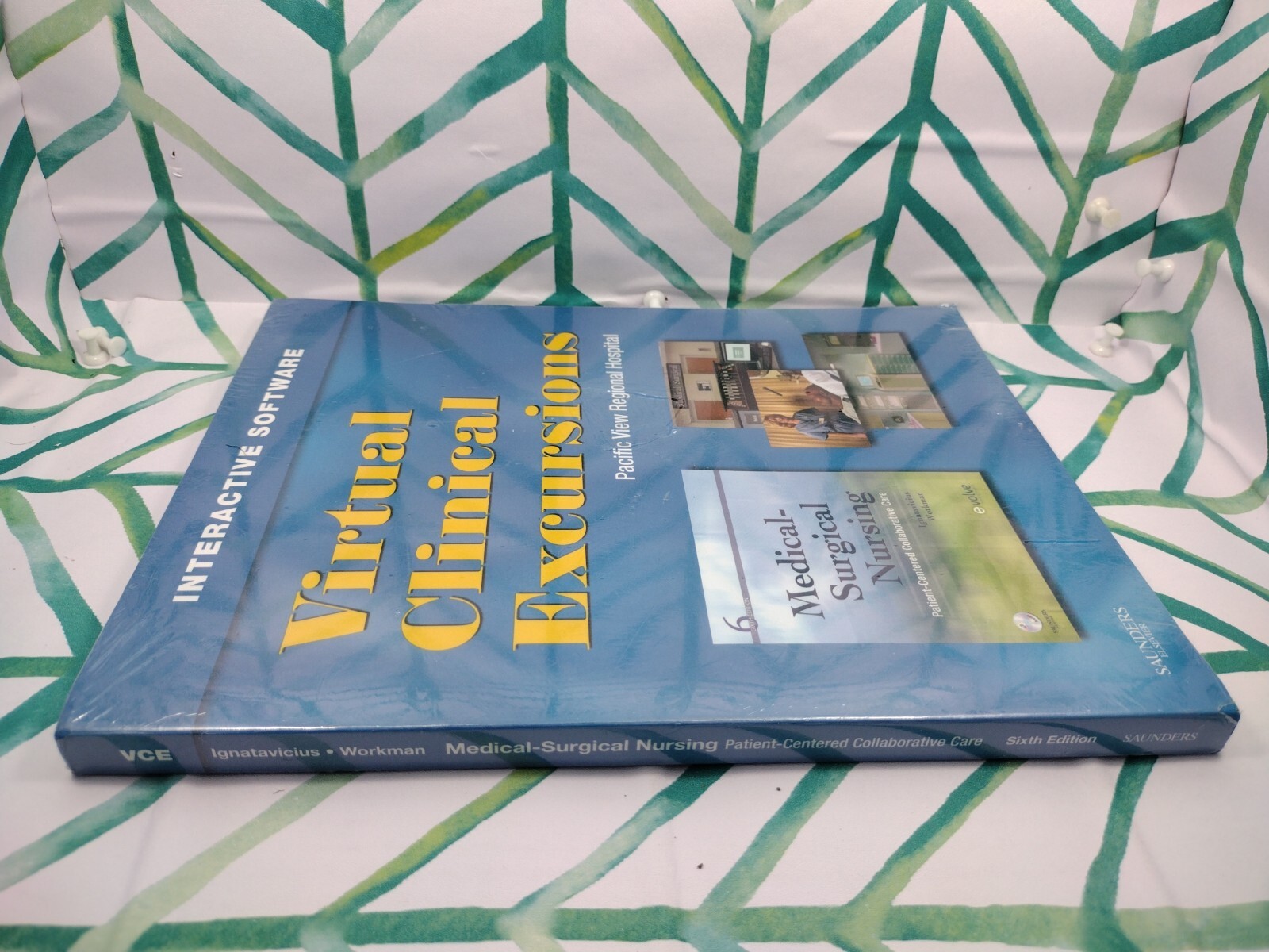 Virtual Clinical Excursion Brand New Pacific View Regional Hospital