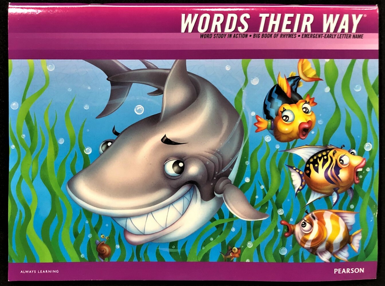 Words Their Way – BIG BOOK OF RHYMES * EMERGENT-EARLY LETTER NAME (2012)