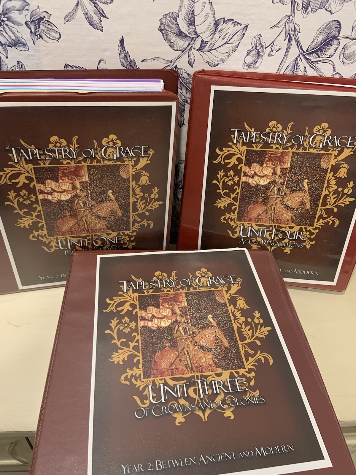 Tapestry of Grace Year 2 Curriculum UNIT One, Three, Four Homeschool