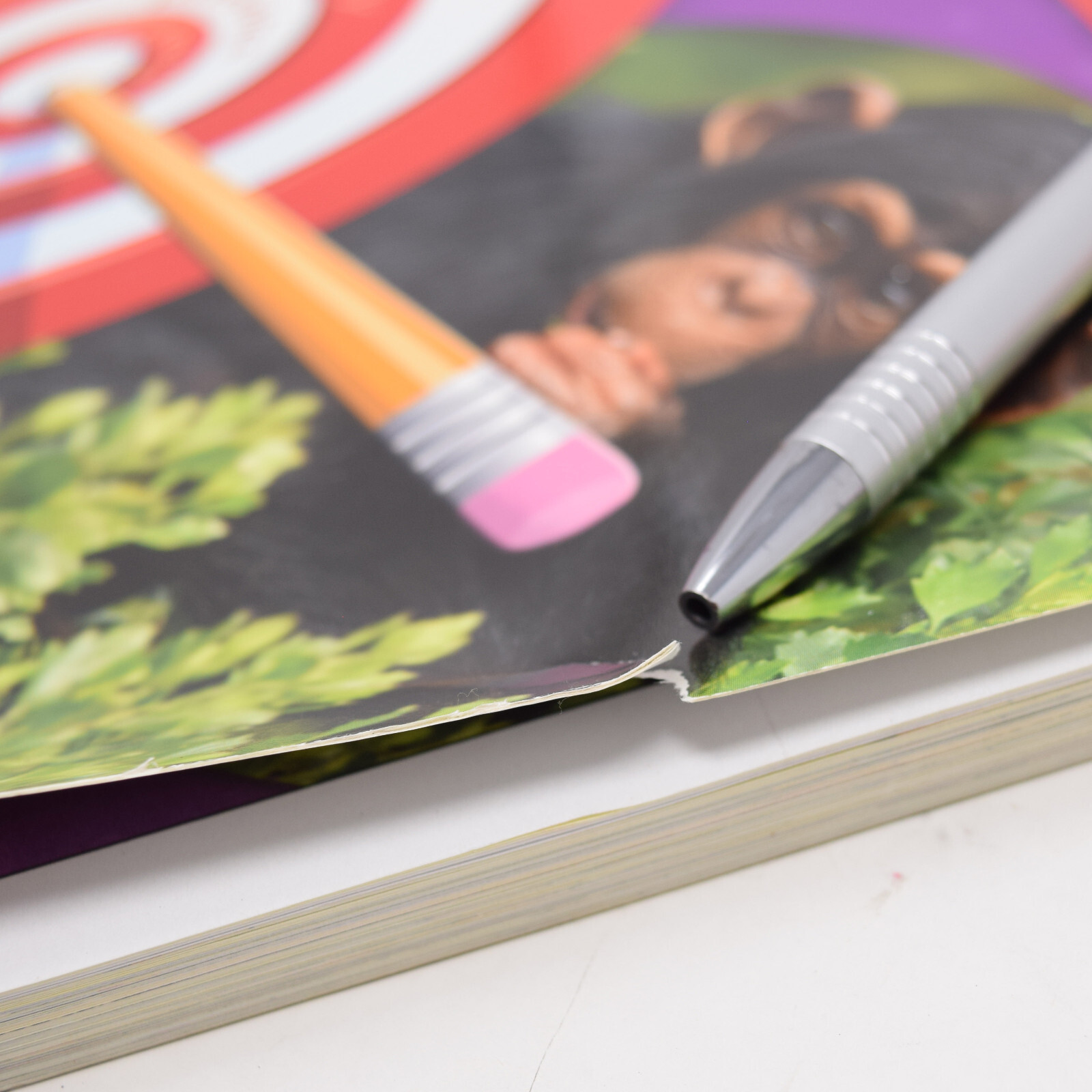 Targeted Reading Student Guided Practice Book Teacher Created Materials Level 3