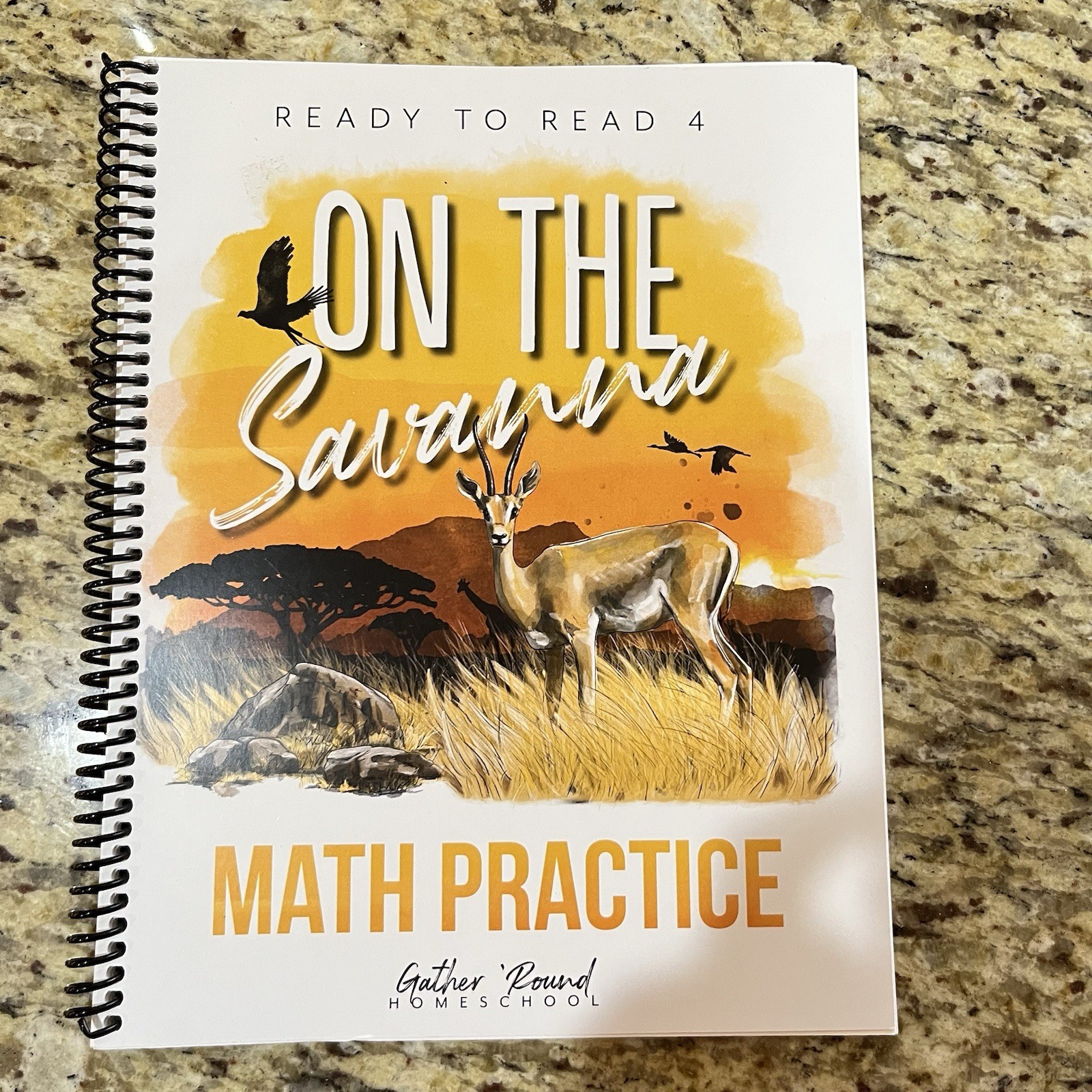 Gather Round Homeschool On the Savanna Ready to Read 4 Math Practice