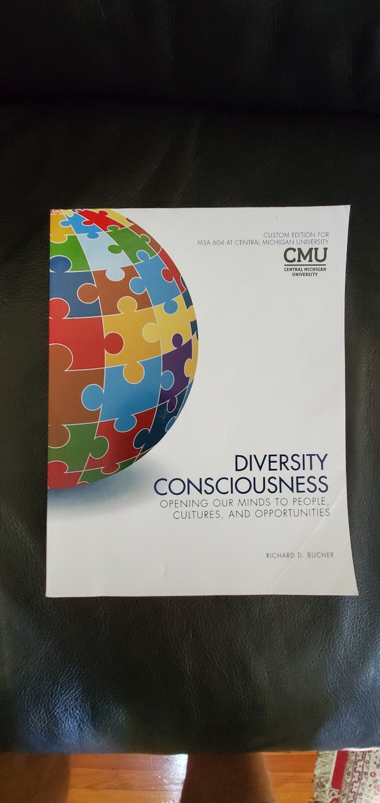 Diversity Consciousness MSA 604 CMU