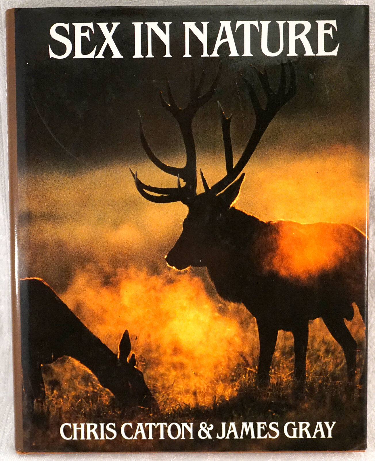 Sex in Nature by James Gray and Chris Catton (1985, Hardcover)