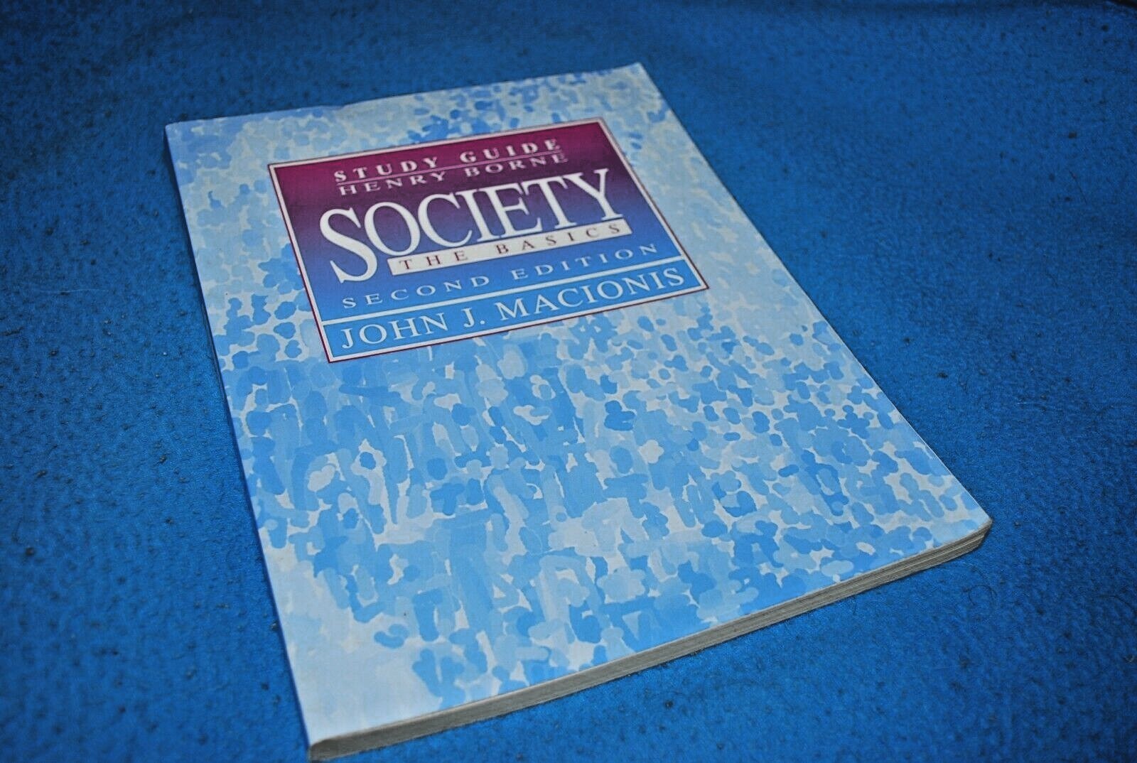 Society: The Basics- Study Guide 2nd Ed. by Henry Borne (1994) Paperback