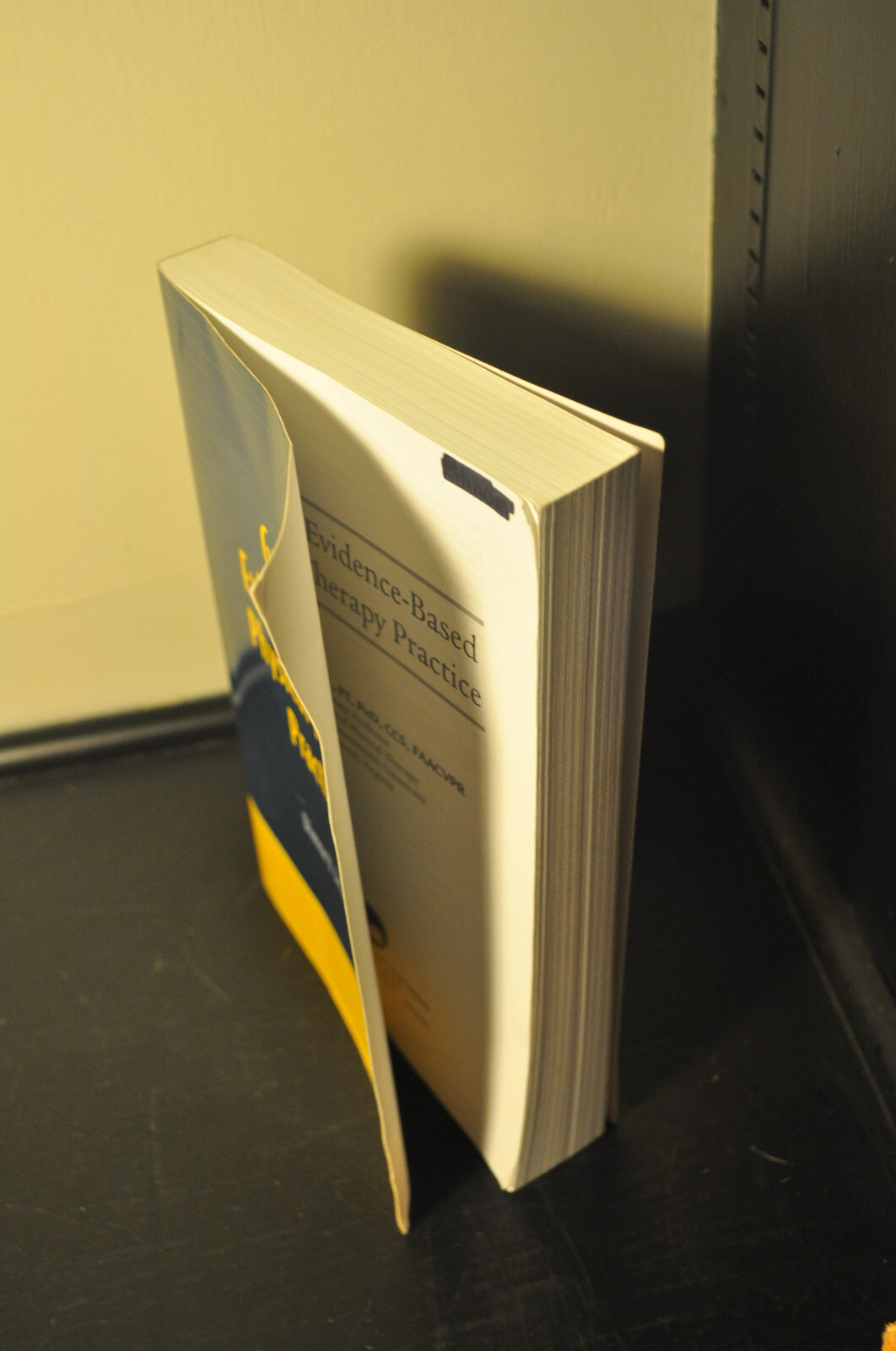 Guide To Evidence-Based Physical Therapy Practice – Paperback – LIKE NEW
