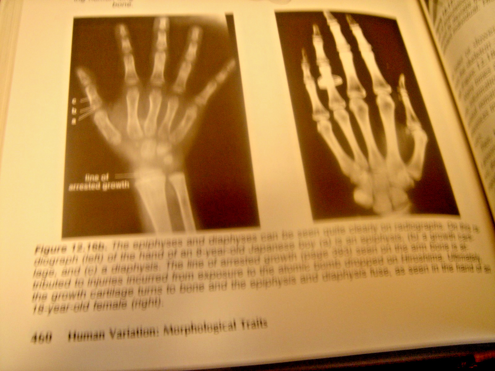 Human Biology and Behavior and development of man 413 pages hardcover book