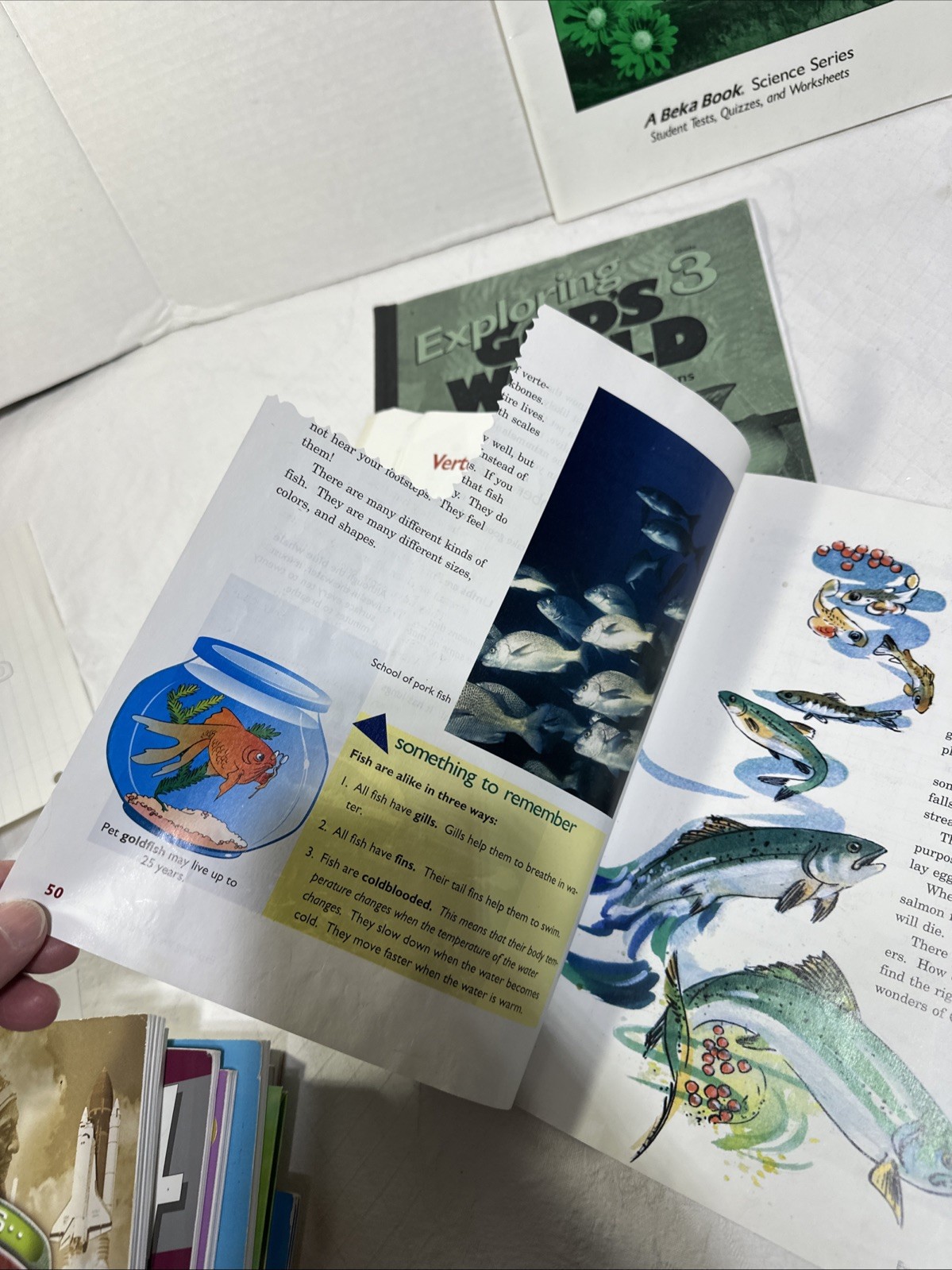 Abeka Exploring God‘S World 3 Third Edition Textbook With Teachers Books 1996