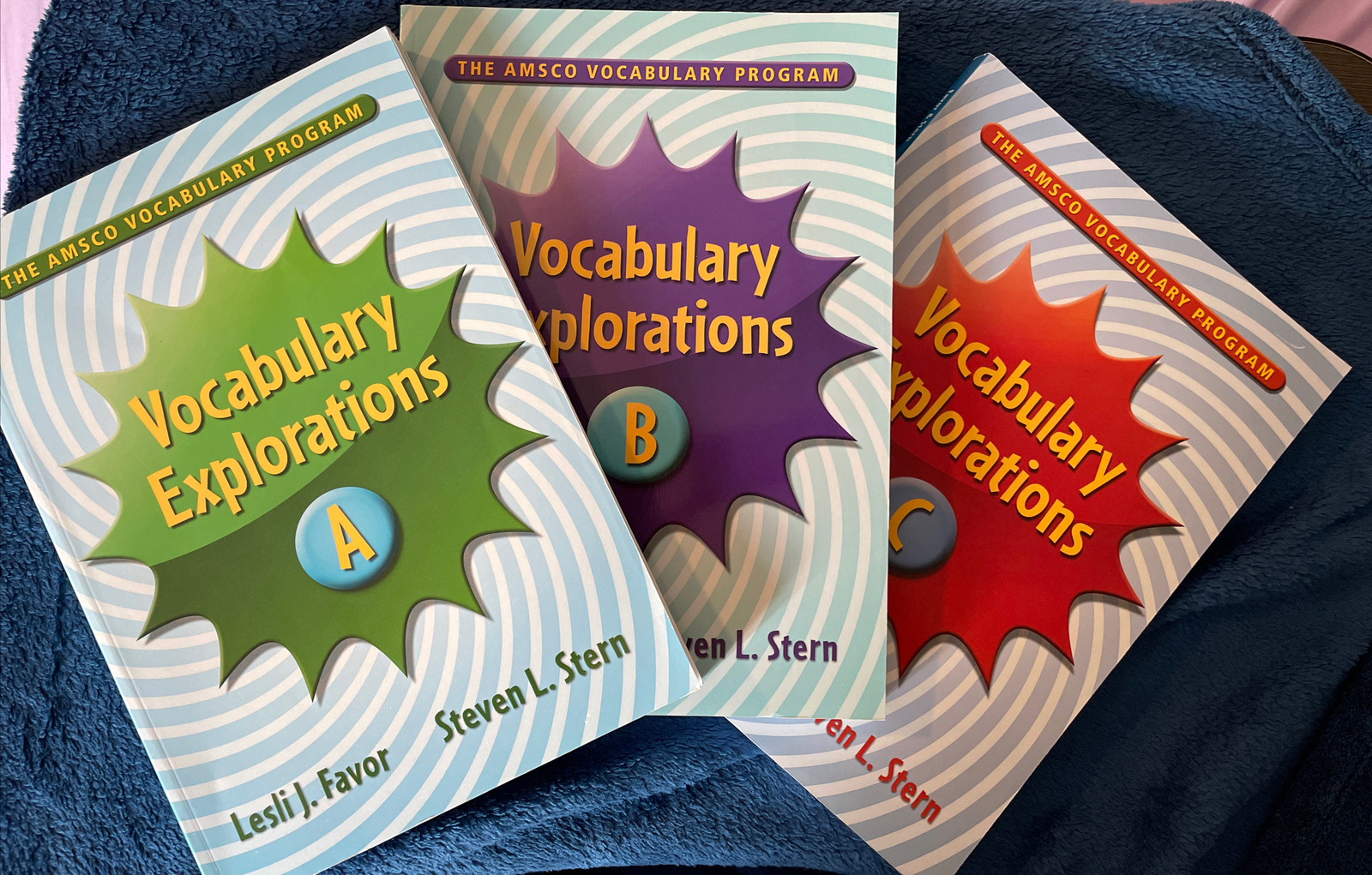 Lot Of 3 AMSCO Vocabulary Explorations Level A B C Standards Based Grades 6 -12