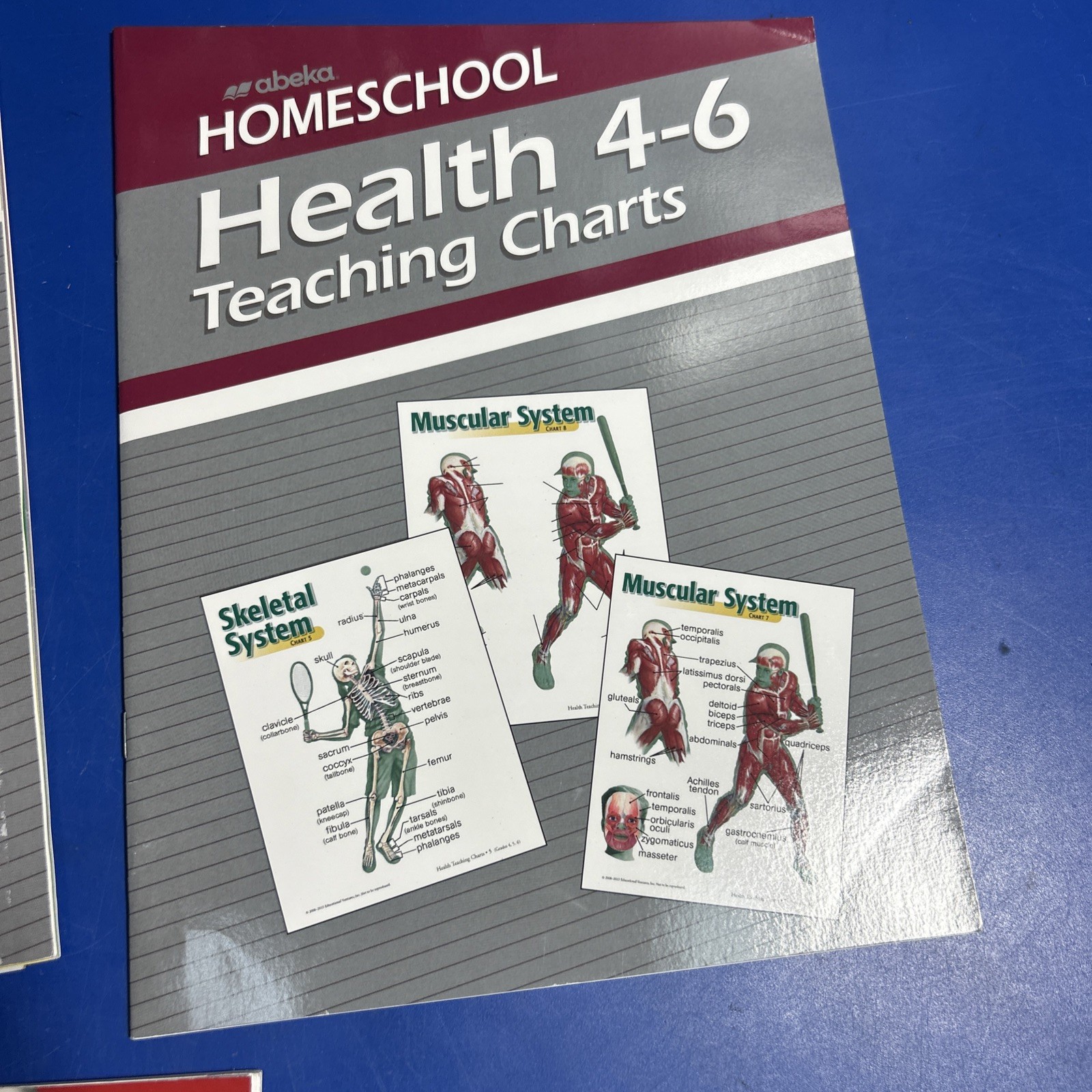 Abeka 3rd Grade Homeschool Arithmetic Curriculum Lot – Pre -Owned