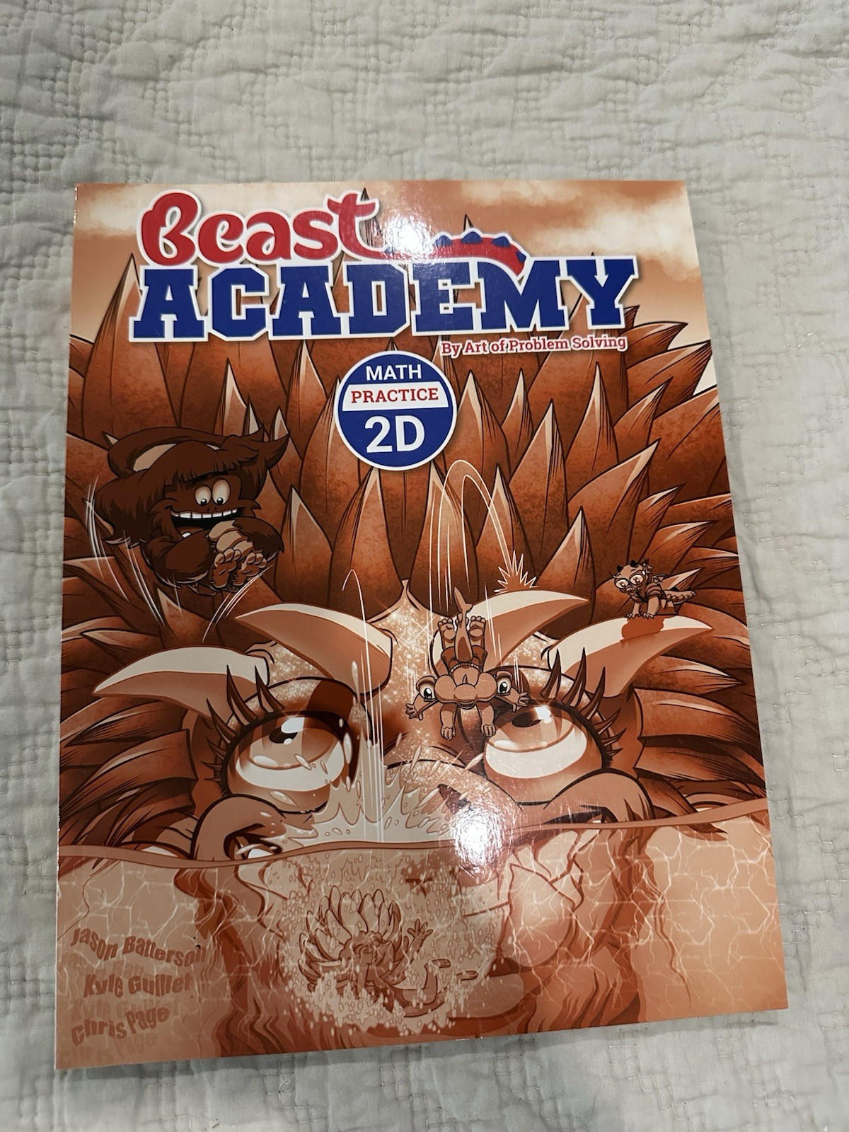 Beast Academy Math Practice Book 2D Homeschool Workbook