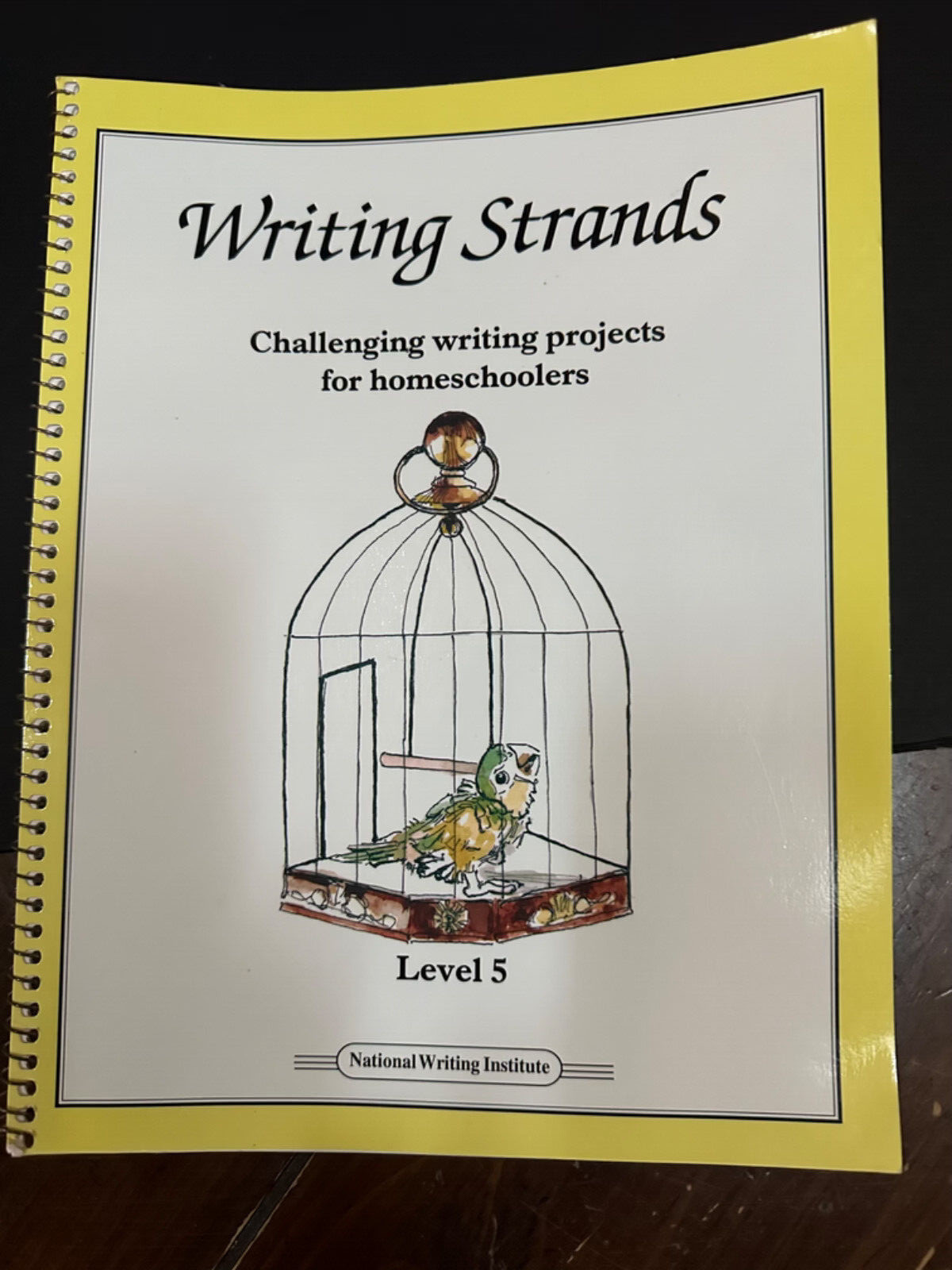 Writing Strands Set Challenging writing Level 4 & 5 vintage 1990’s