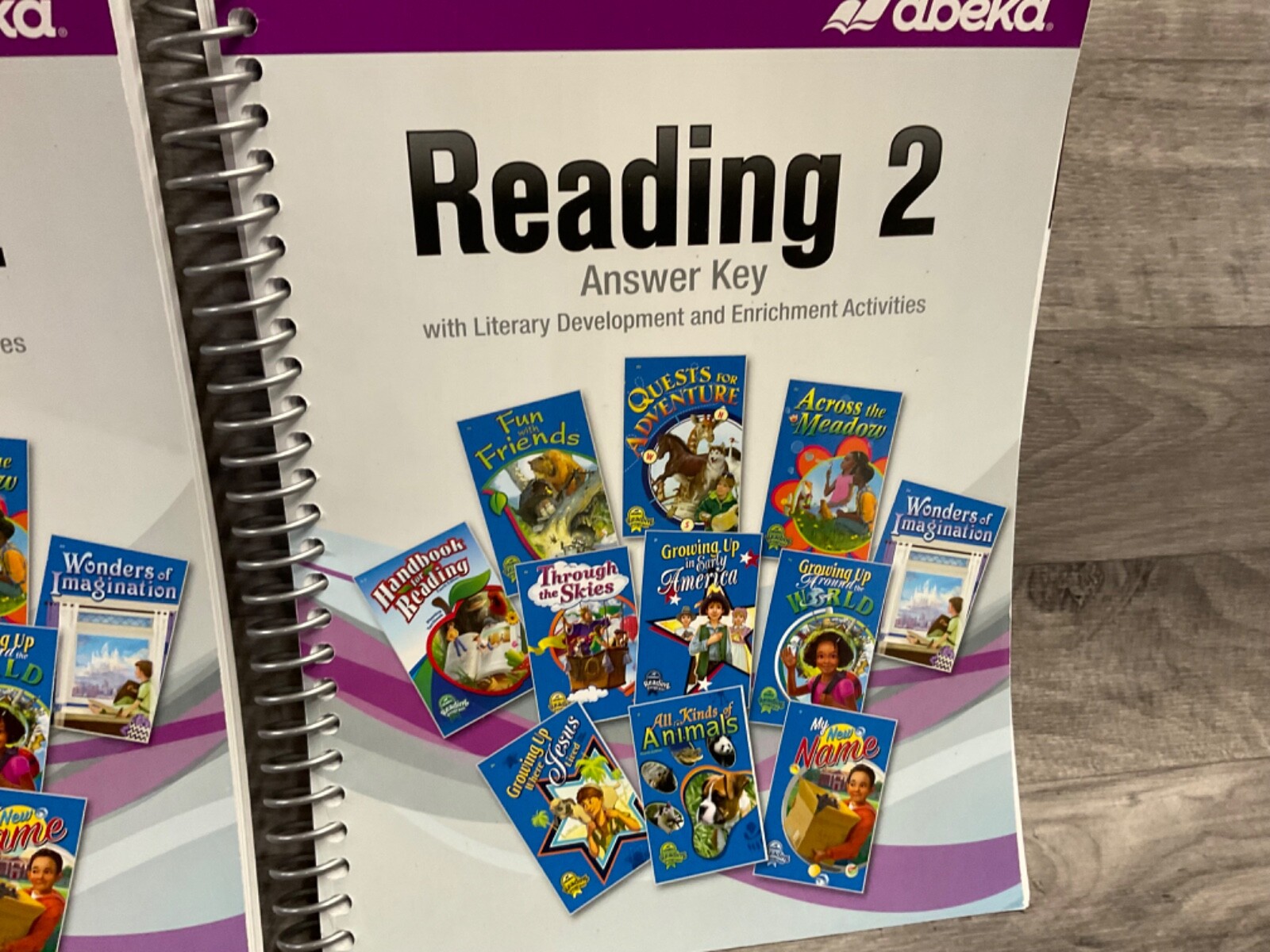 ABEKA Reading 2 Answer Key w/ Literary Development & Enrichment Activities (2)