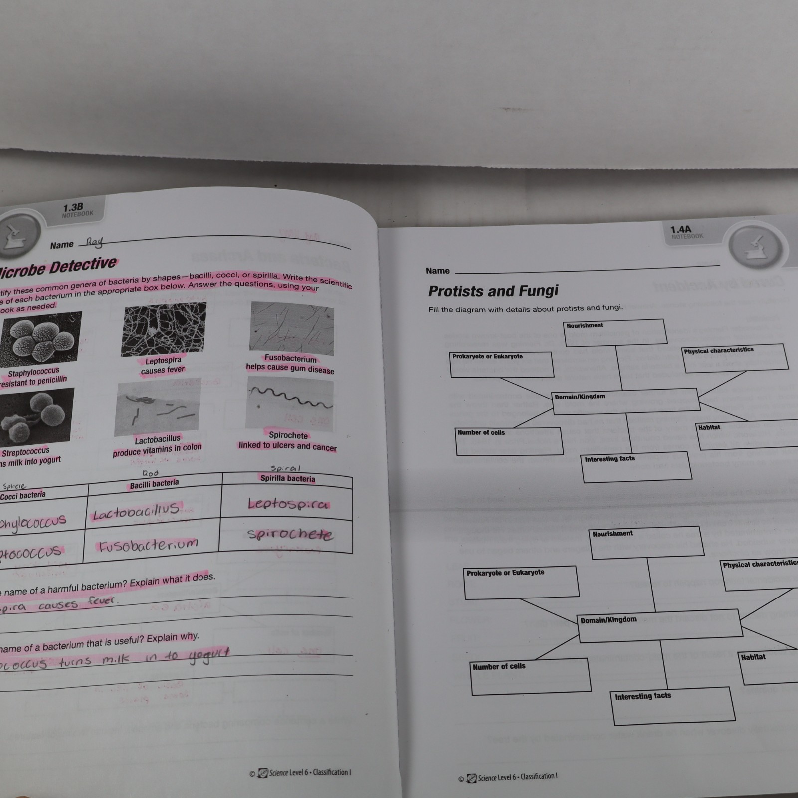 Purposeful Design Science Level 6 Notebook (2nd Edition) ACSI 6th Grade