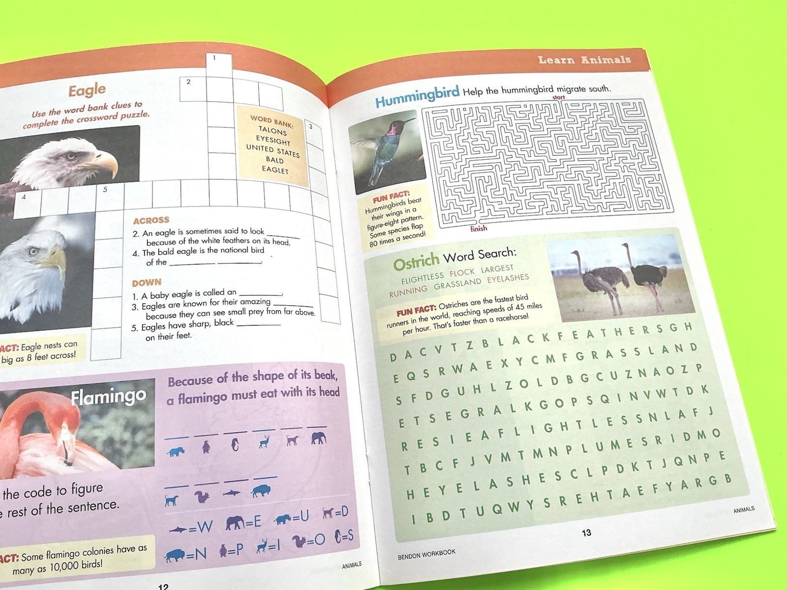 2nd Second Grade Workbook Lot Teacher Answer Keys Student Readers Homeschool