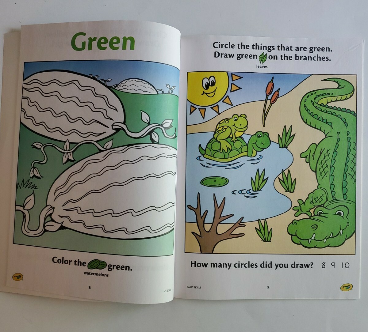 PreK Educational Workbooks Growing Smarter Crayola Stickers Alphabet Colors Lot2