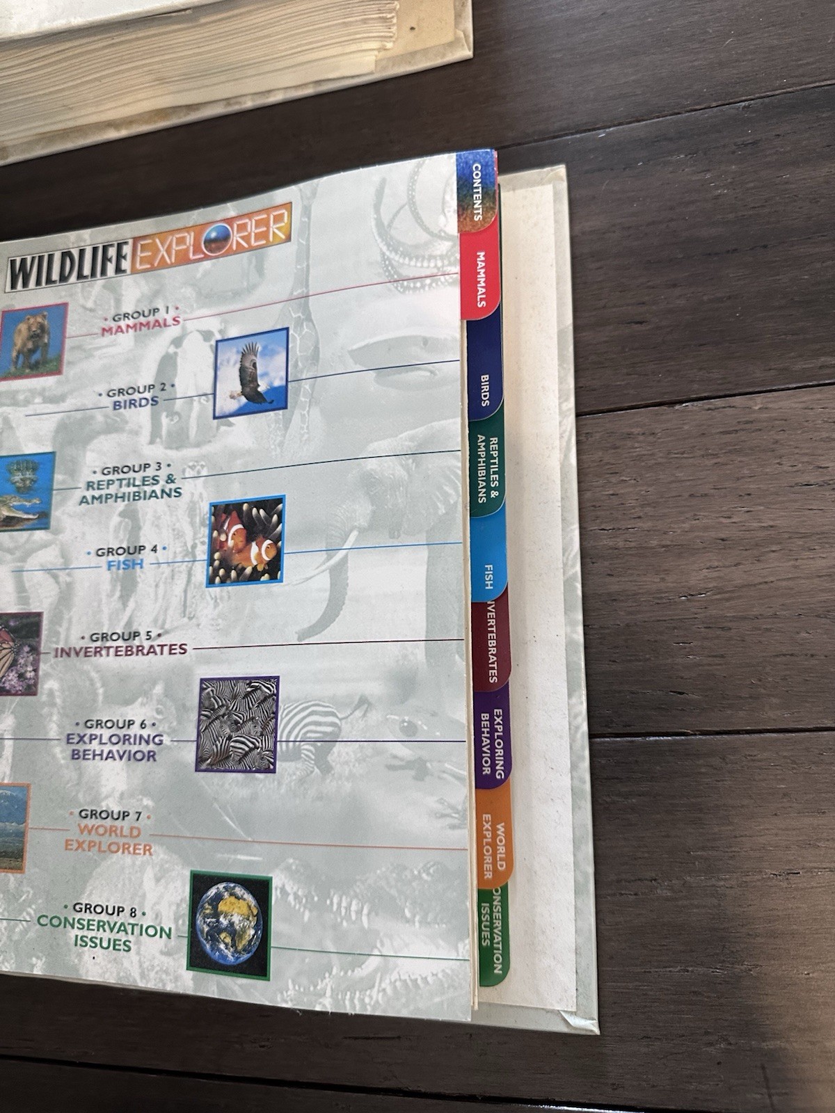 Wildlife Explorer Binder Groups 1-8 — 600+ Cards & Tabs Educational Homeschool