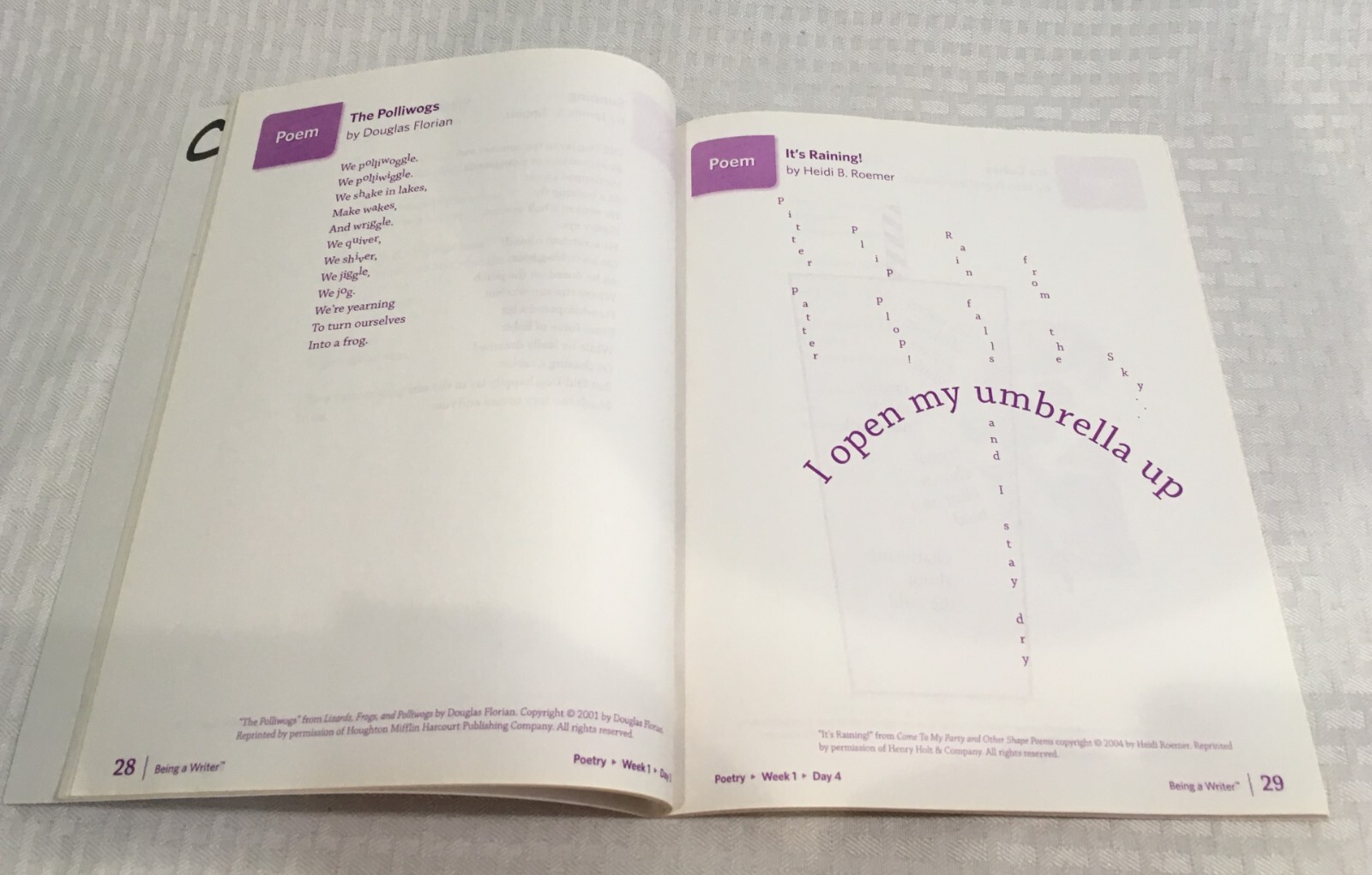 BEING A WRITER / STUDENT SKILL PRACTICE BOOK & WRITING HANDBOOK / 3RD GRADE