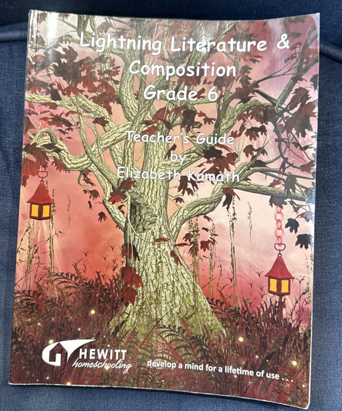 Lightning Literature & Composition Grade 6 Teachers Guide Elizabeth Kamath 2020