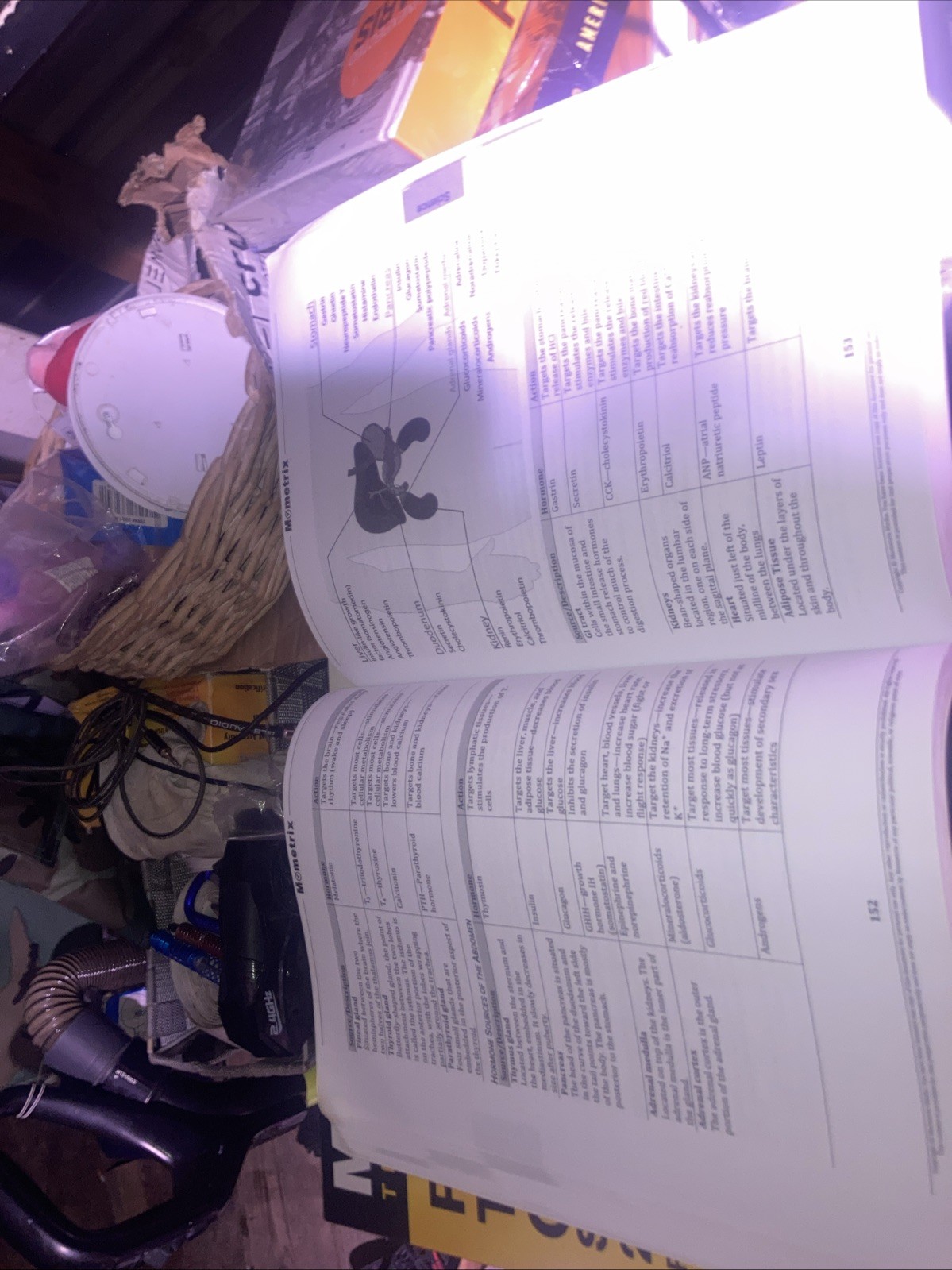 ATI TEAS 7 Secrets Study Guide