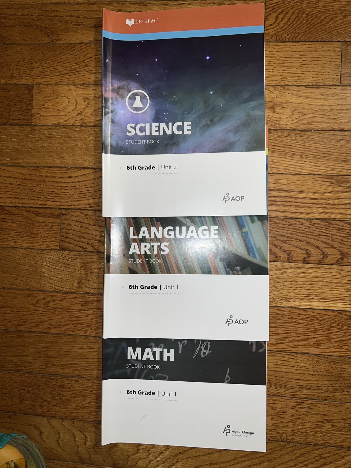 LifePac Student Book Lot, 6th Grade Unit (Science, Math, Language Arts)
