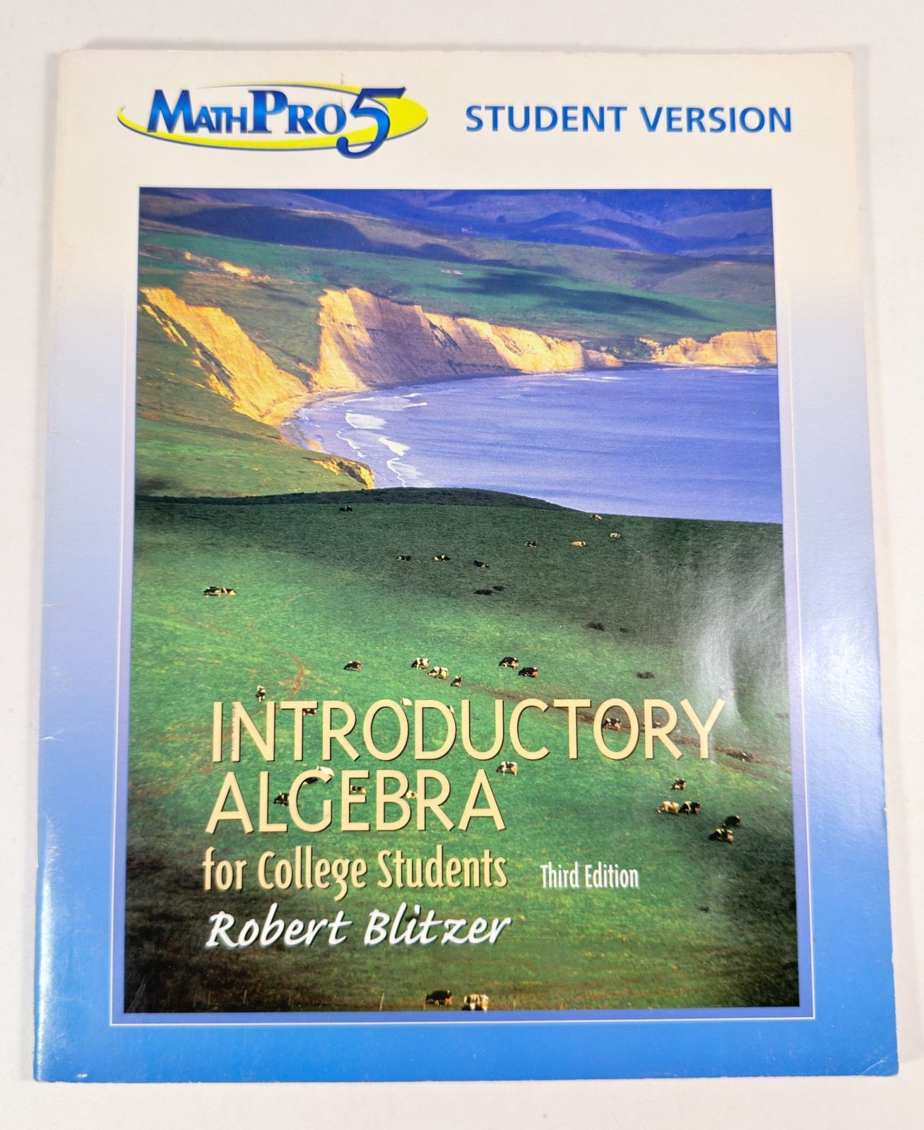 Introductory Algebra for College Students by Robert Blitzer 2002 0130343145