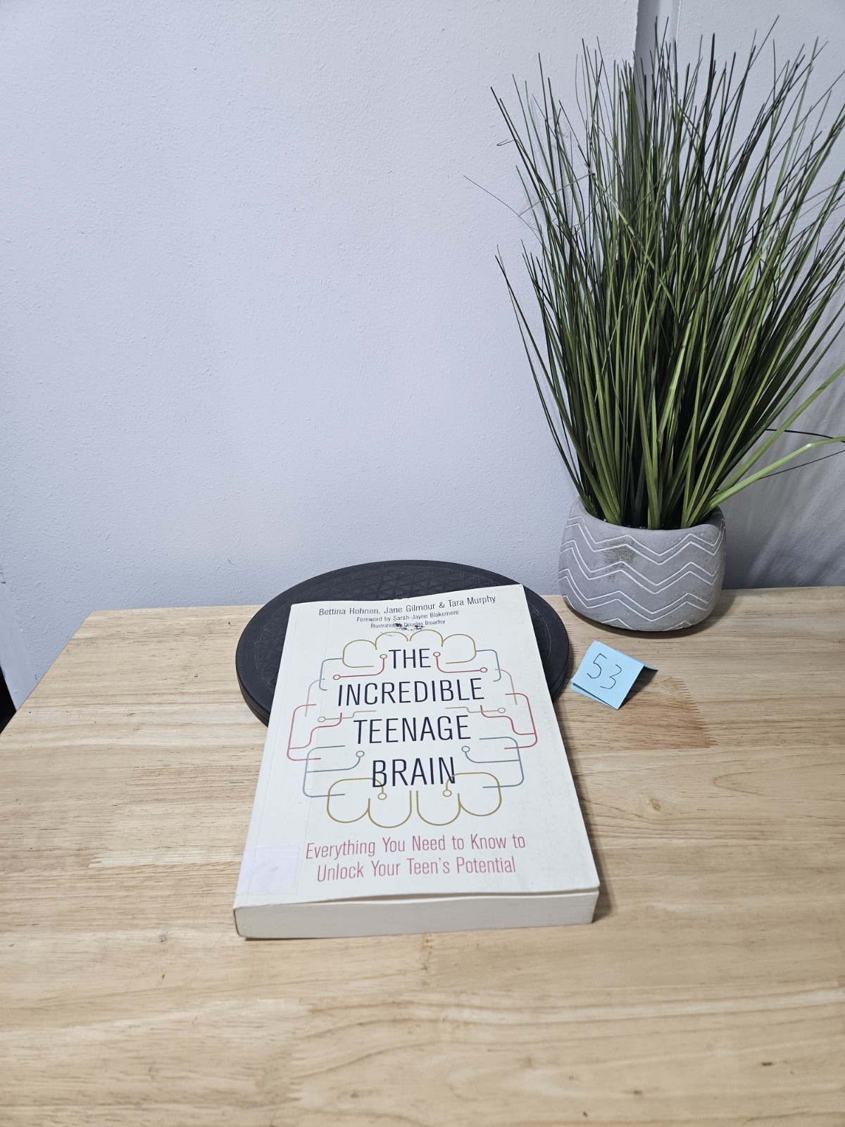 The Incredible Teenage Brain : Everything You Need to Know to Unlock your teens