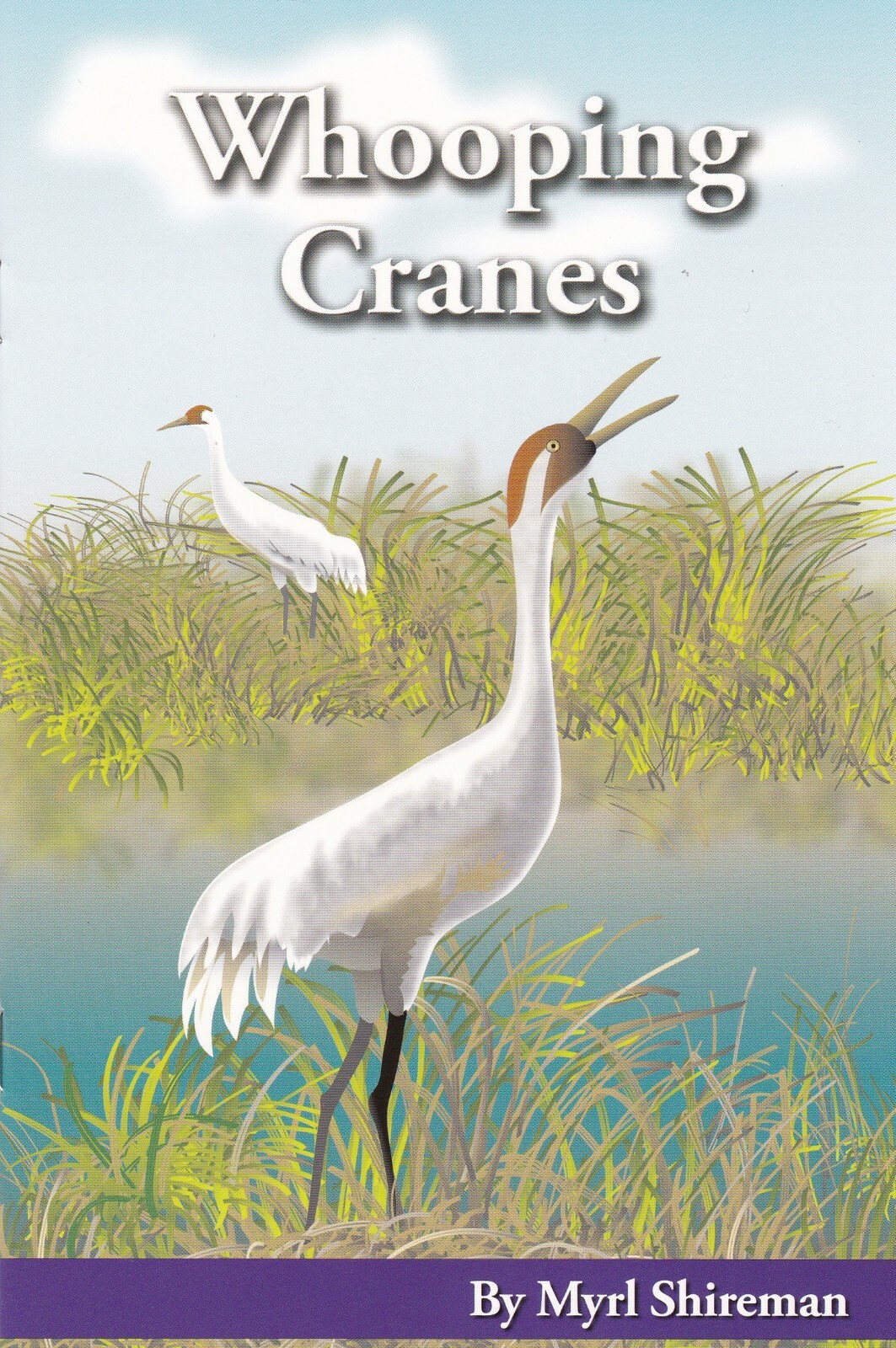 Whooping Cranes: Reading Level 3 by Myrl Shireman Paperback 2006
