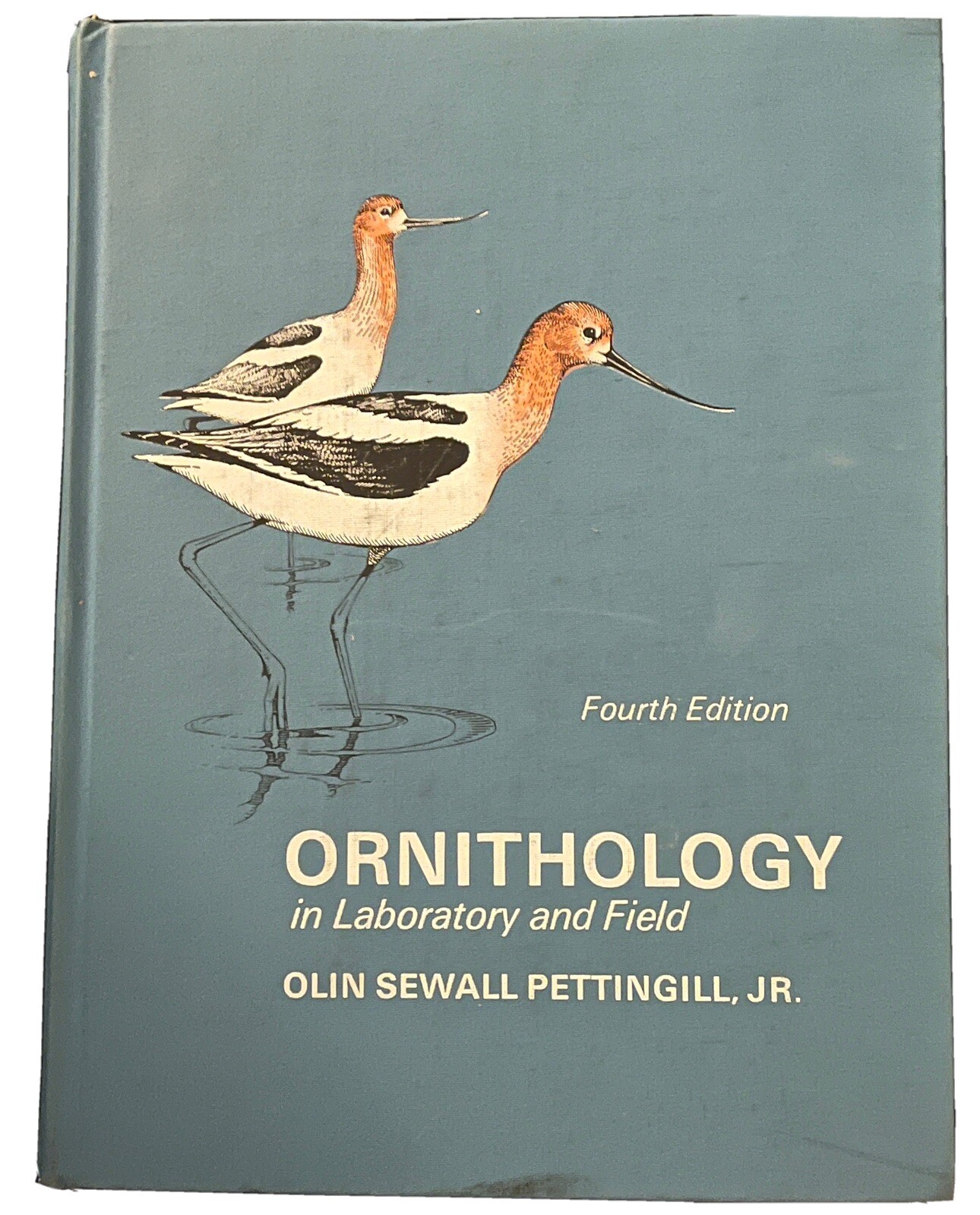 Ornithology In Laboratory And Field
