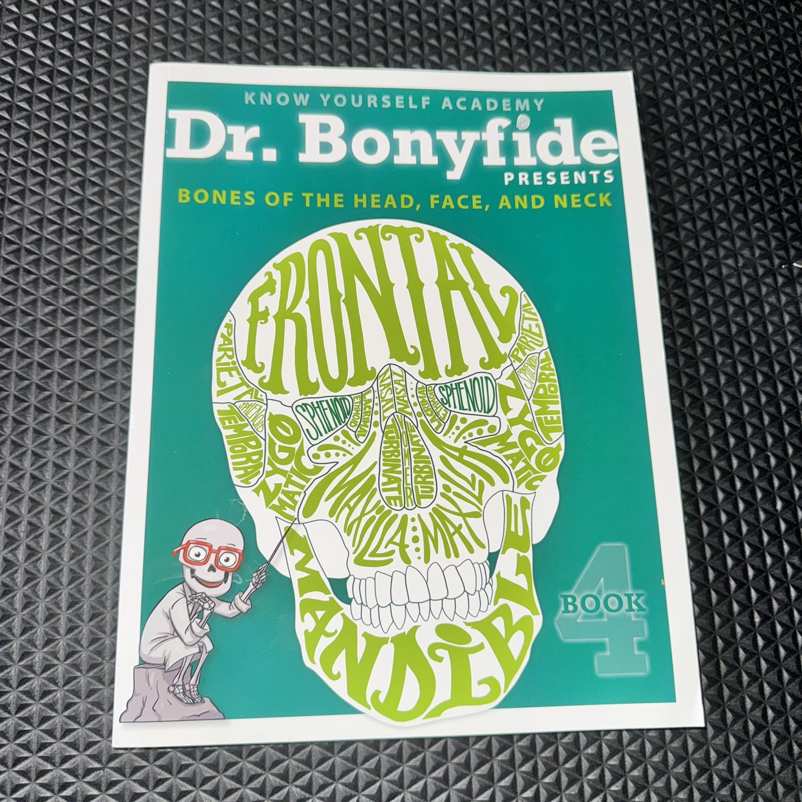Dr. Bonyfide BONES OF THE HEAD, FACE & NECK Book 4 – Human Anatomy Kids Science