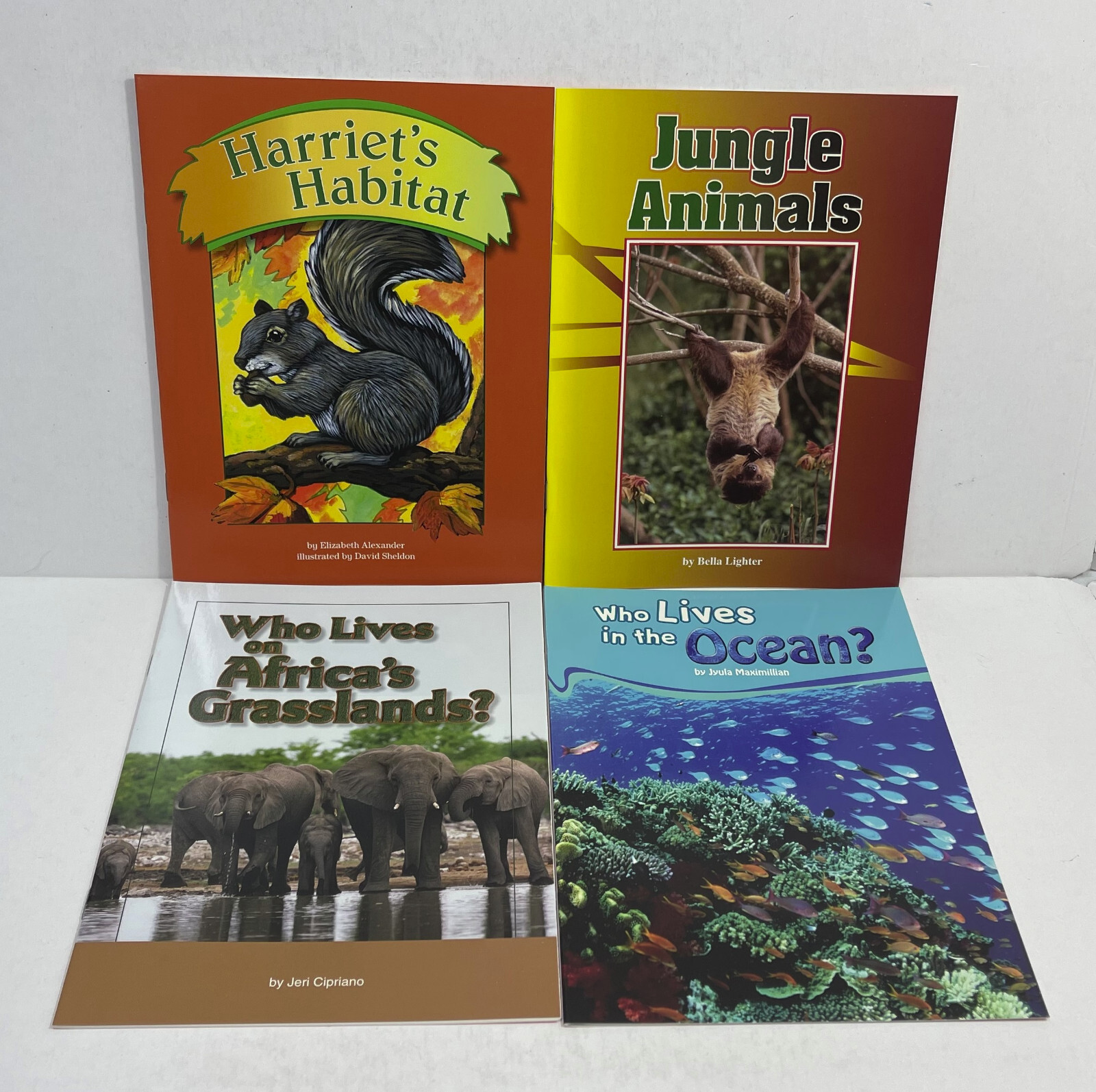 Lot of 72 Books + Teacher’s Guide Kaleidoscope B Leveled Readers Package Grade 3