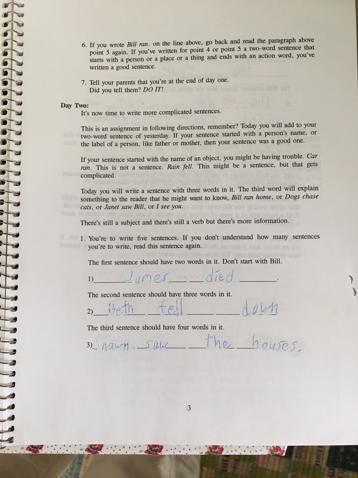 Writing Strands Level 3 by Dave Marks Lesson and Writing Assignment.
