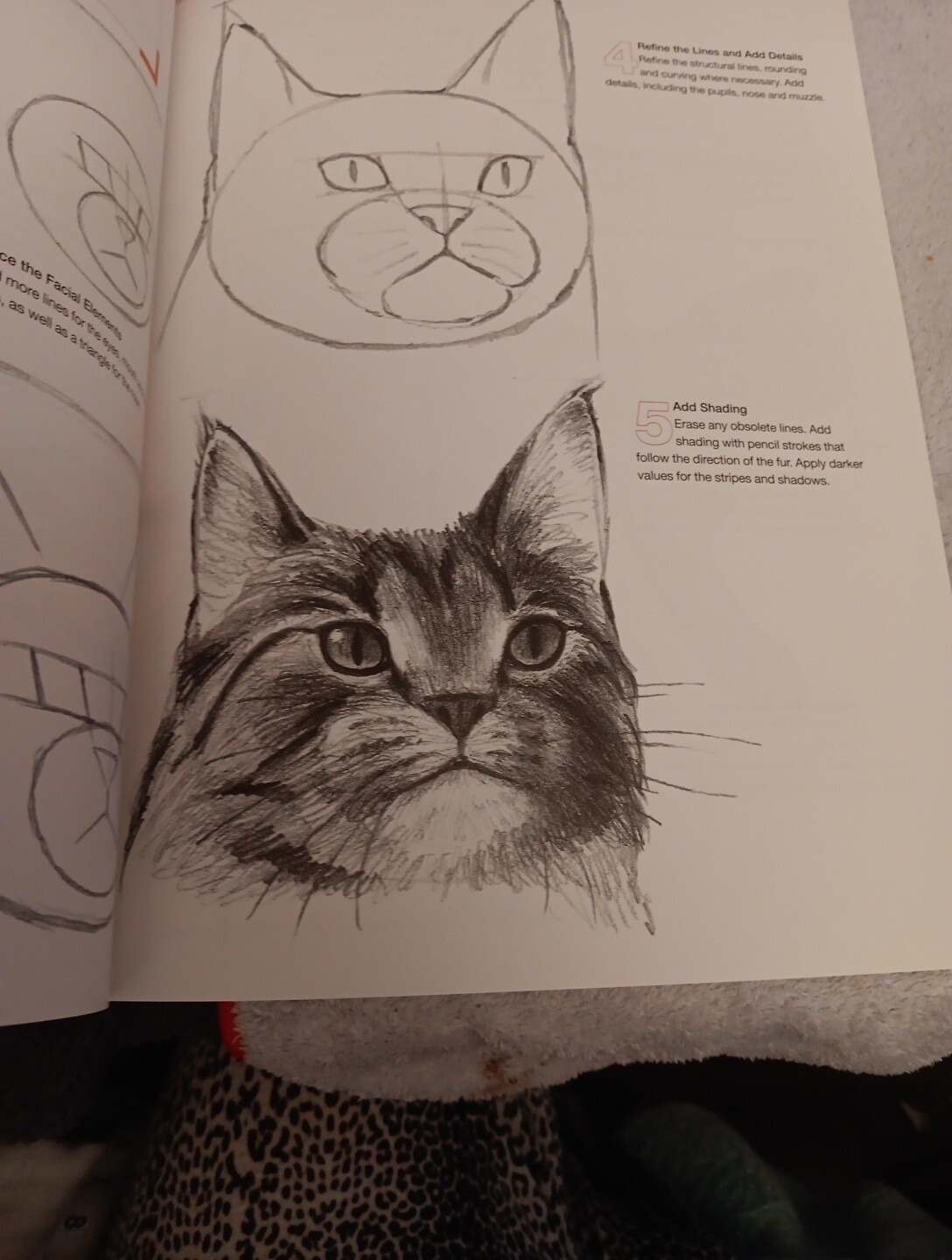 Drawing for the Absolute Beginner A clear and easy guide to successful drawing
