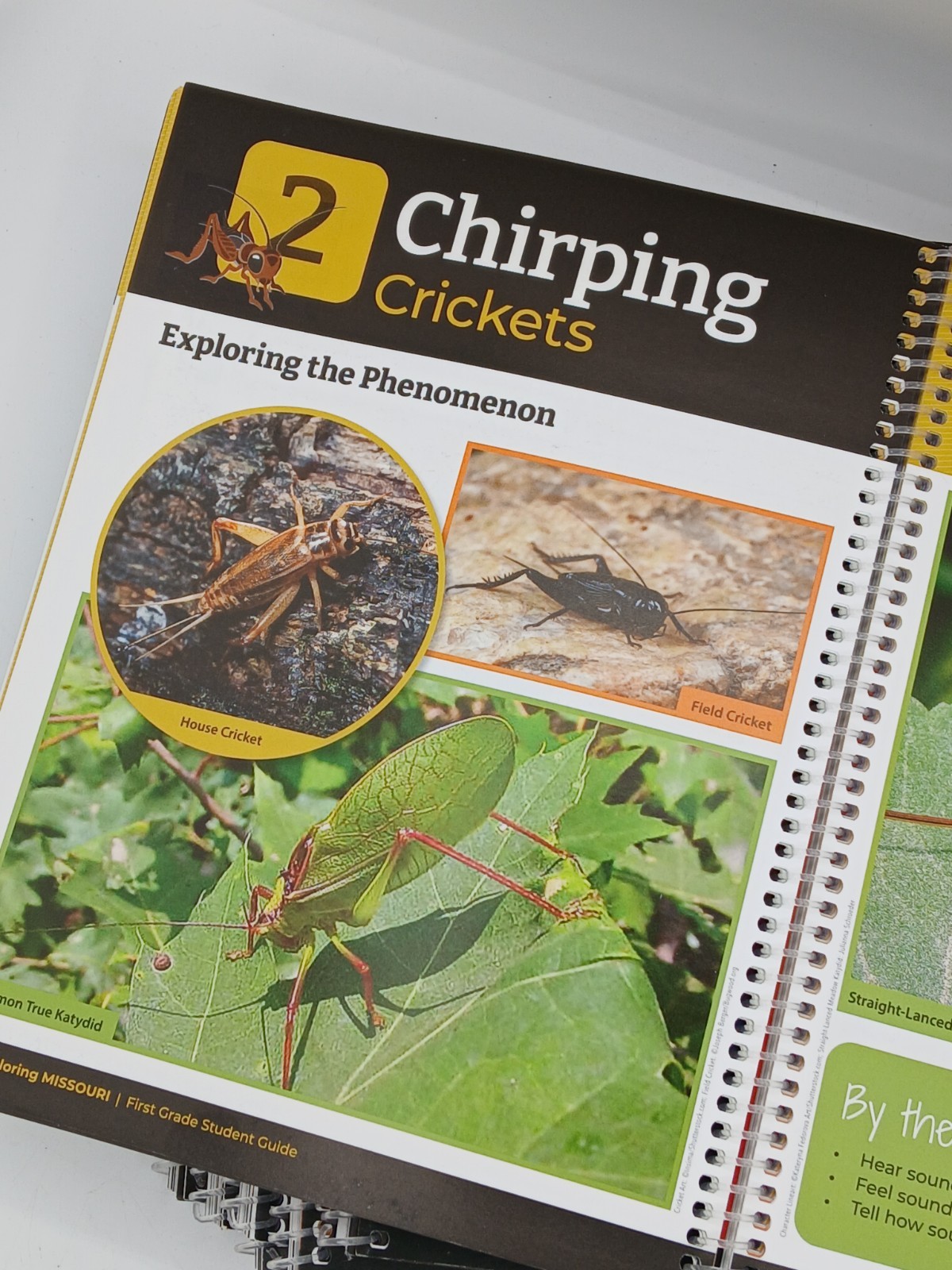 First Grade Home School Exploring Missouri Student Guide Discover Nature (7) New