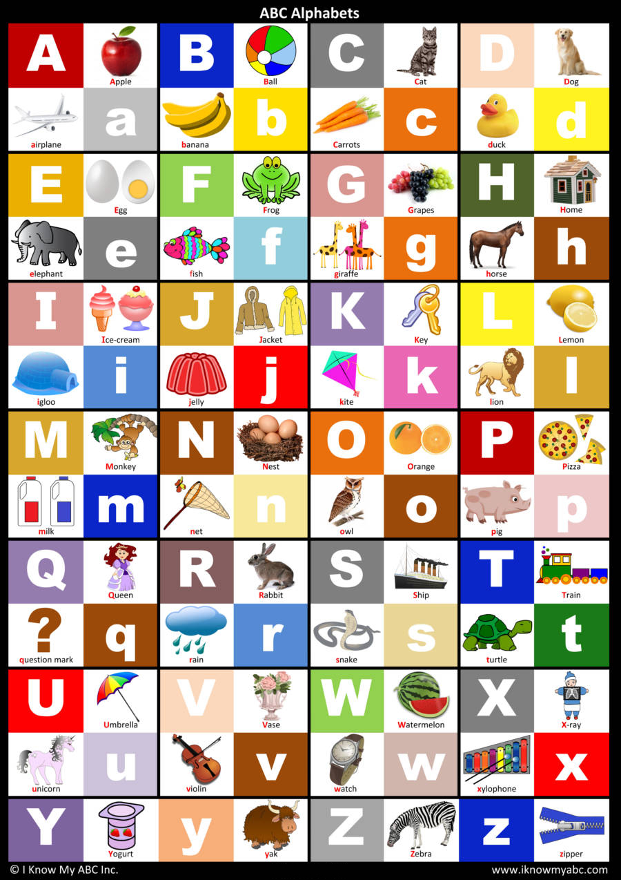 ABC Alphabet Chart : The Alphabet Poster for Learning Capital and Lower ABC