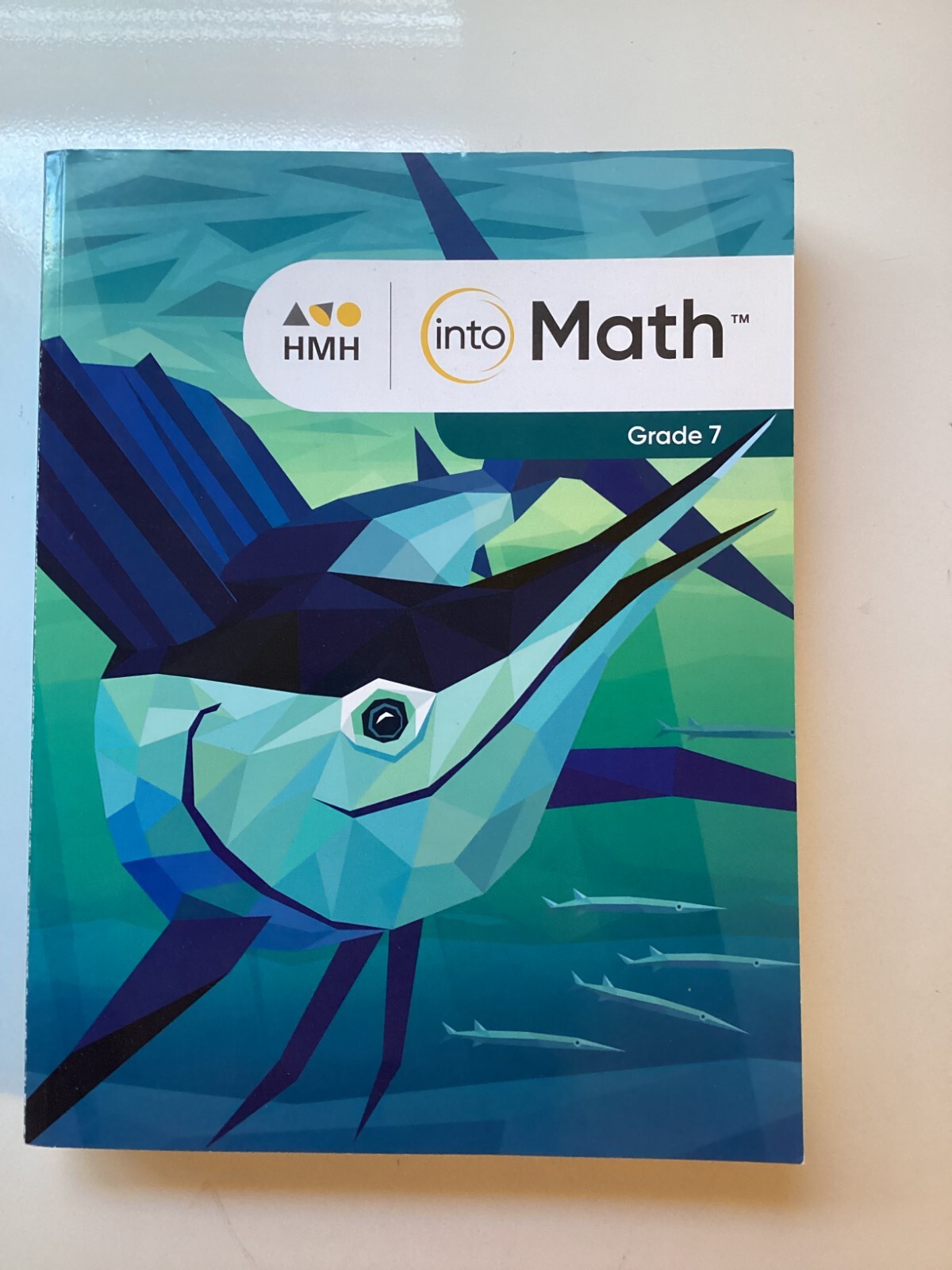 HMH into Math Grade 7 workbook (new)