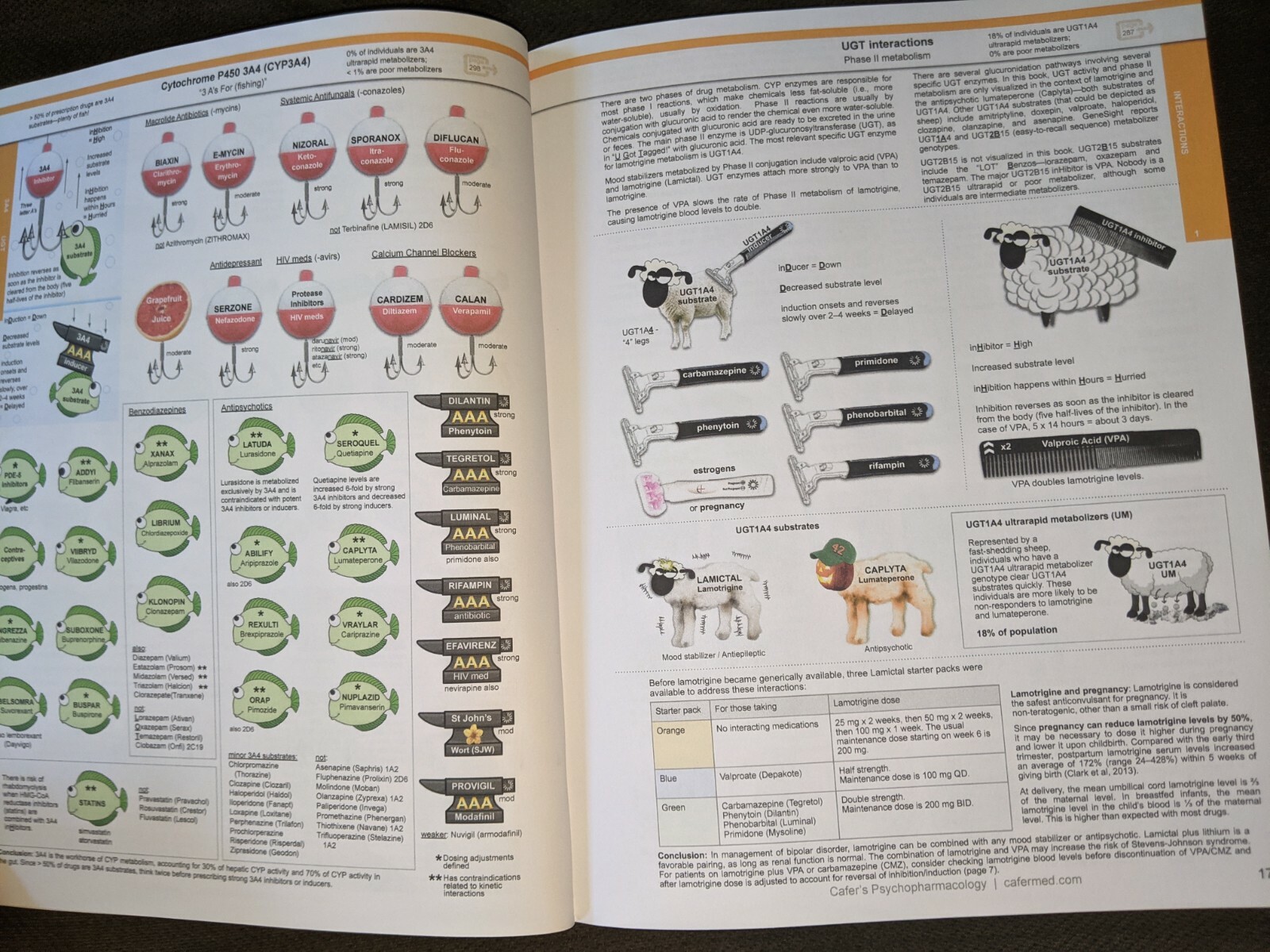 Psychopharmacology Book