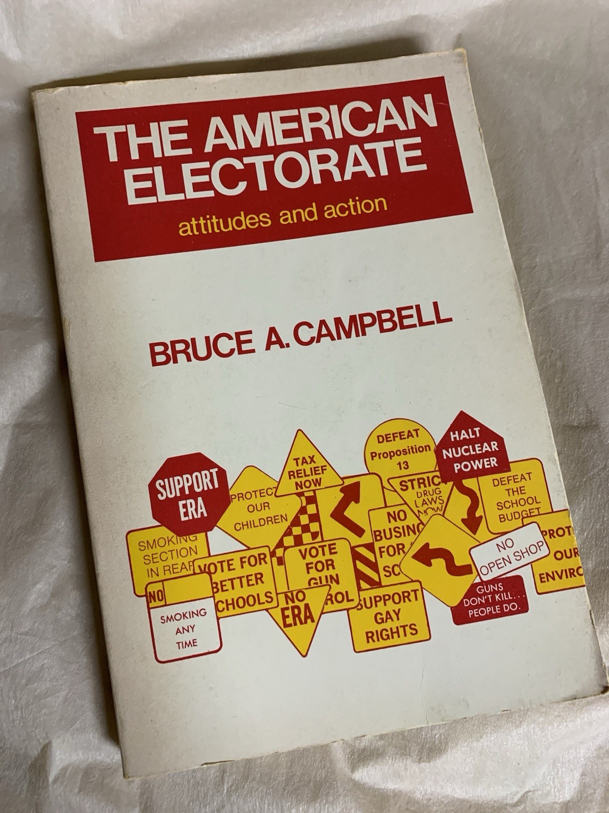 The American Electorate
