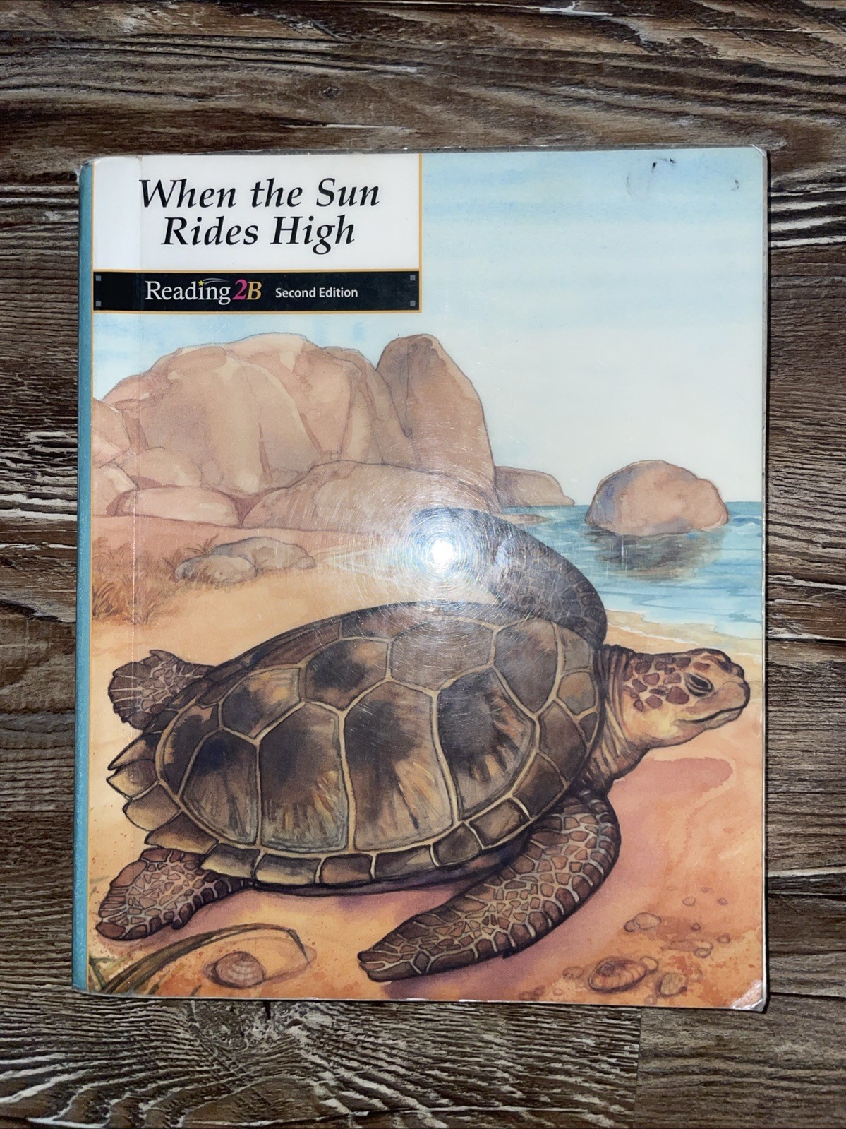 Reading 2B Student Text by Not Available (Trade Paperback)