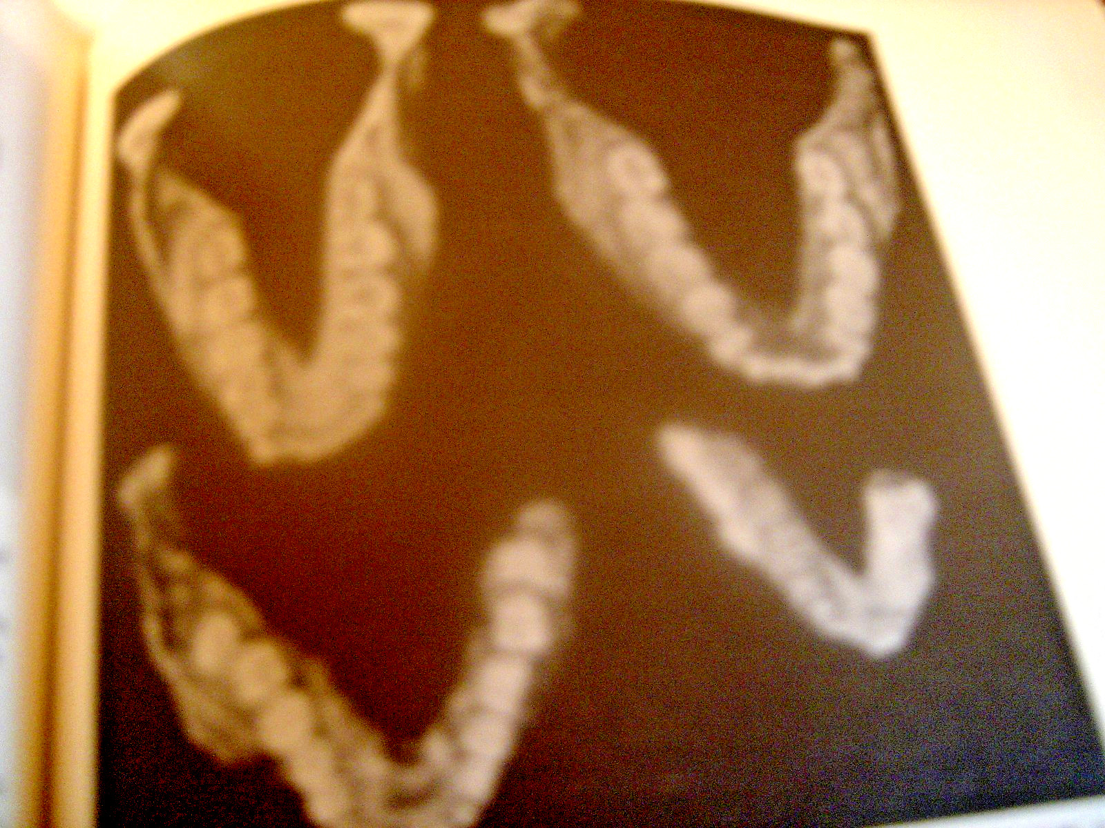 Human Biology and Behavior and development of man 413 pages hardcover book