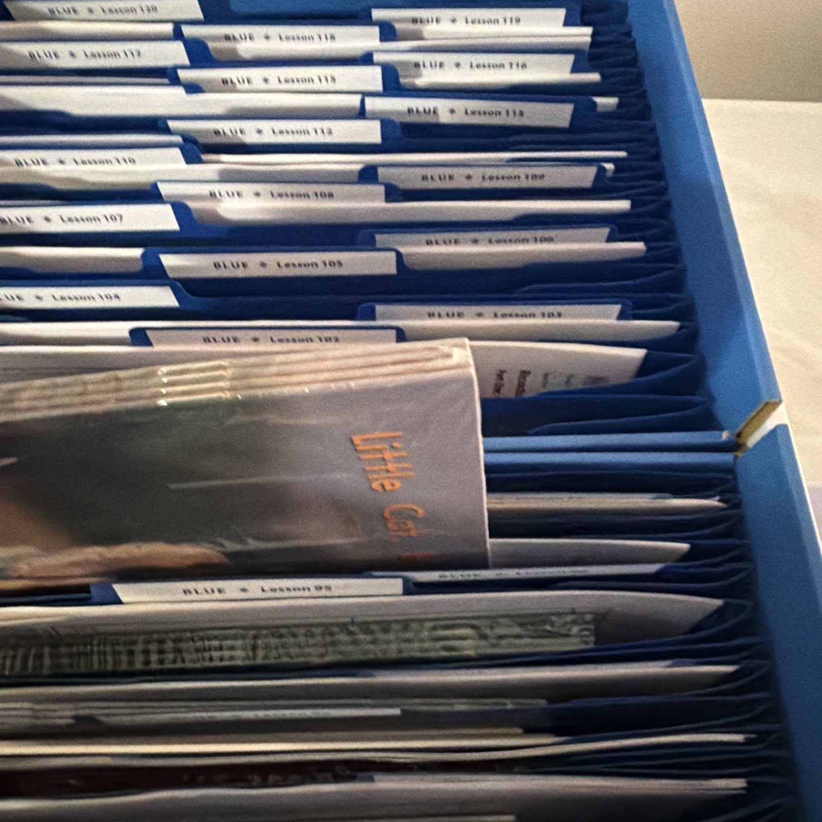 Leveled Literacy Intervention 2nd ed Blue Box 4 System Lesson Verified Complete!