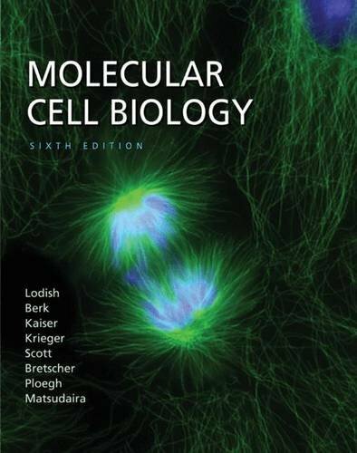 Molecular Cell Biology by Matsudaira, Paul 1429203145 The Fast Free Shipping
