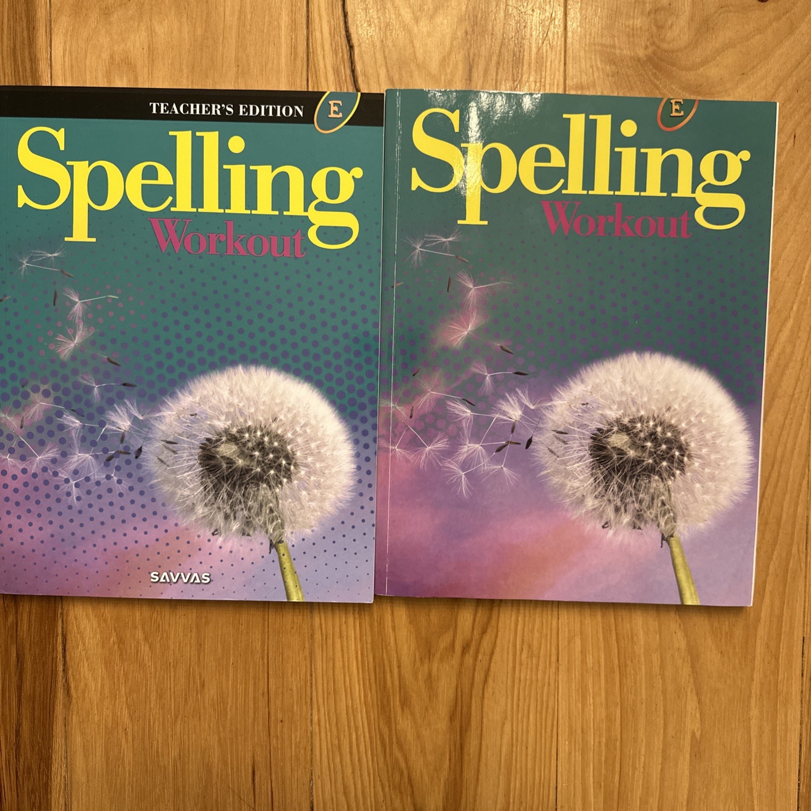 Spelling Workout Level E Lot – 5th Grade – Teacher’s And Student Book by Savvas