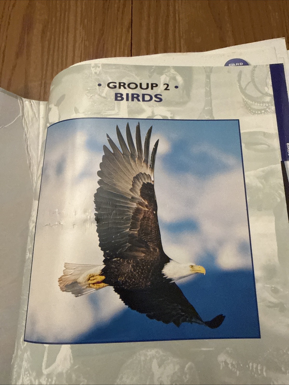 Wildlife Explorer Binder (2 )Groups 1-8 w/ 180 Plus Cards & Tabs
