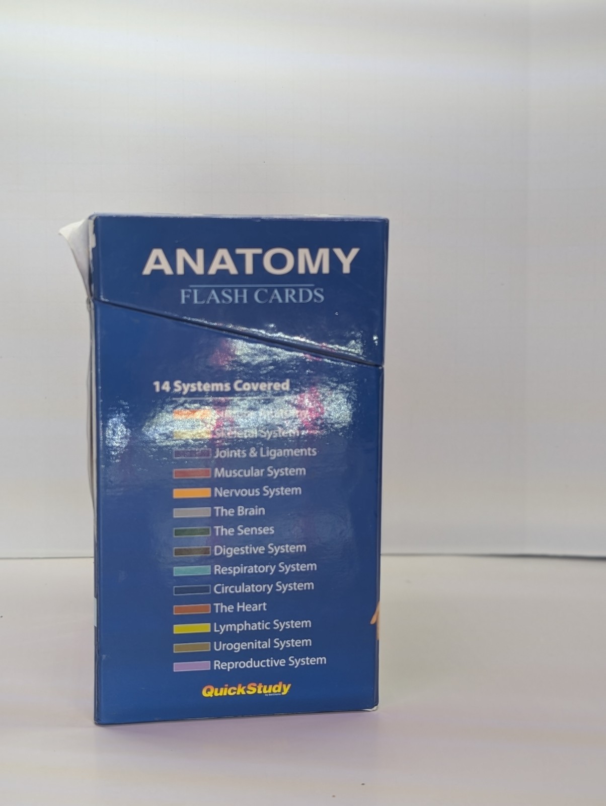 QuickStudy Anatomy Flash Cards Illustrated Laminated Color-coded 300 Cards
