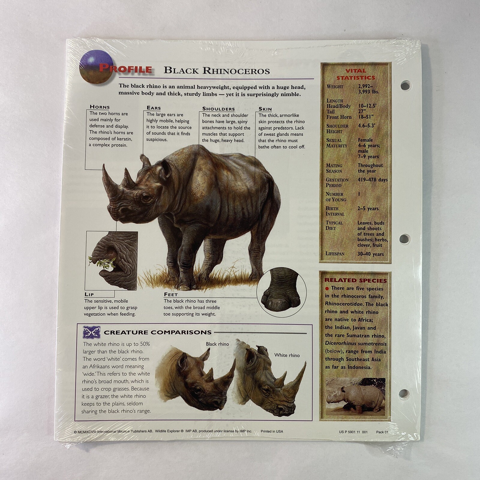 Wildlife Explorer Study Guides – Sealed Pack #01 – 12 Pages – New