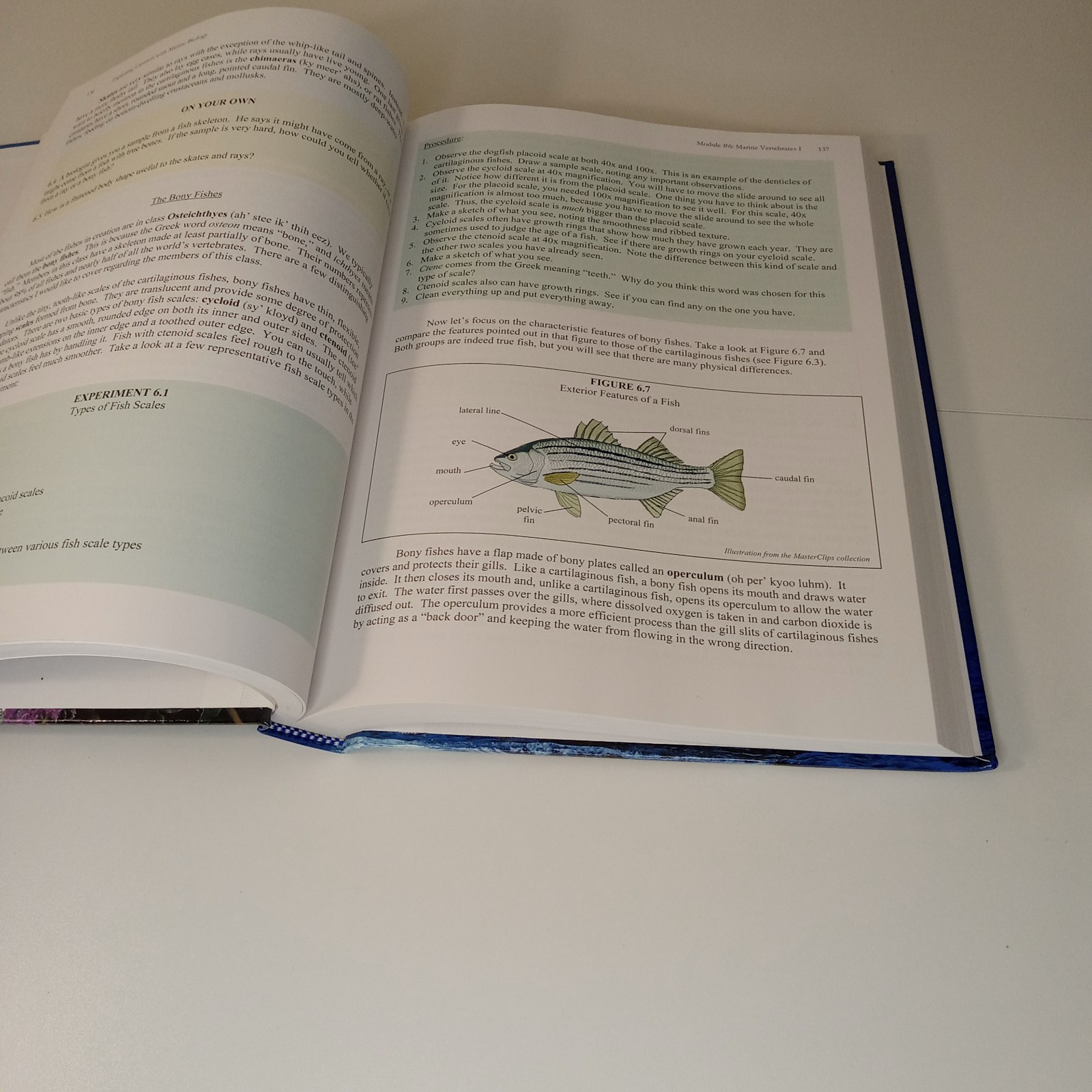 Apologia Exploring Creation With Marine Biology, Text, Solutions & Tests