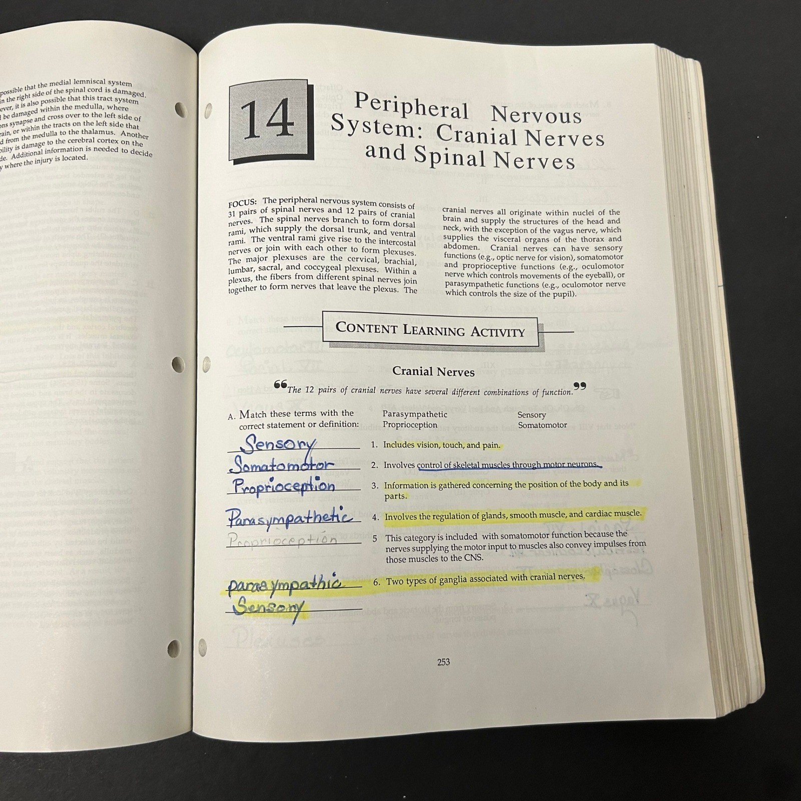 Mosby Anatomy & Physiology Study Guide Seeley 2nd Ed 1992 Textbook